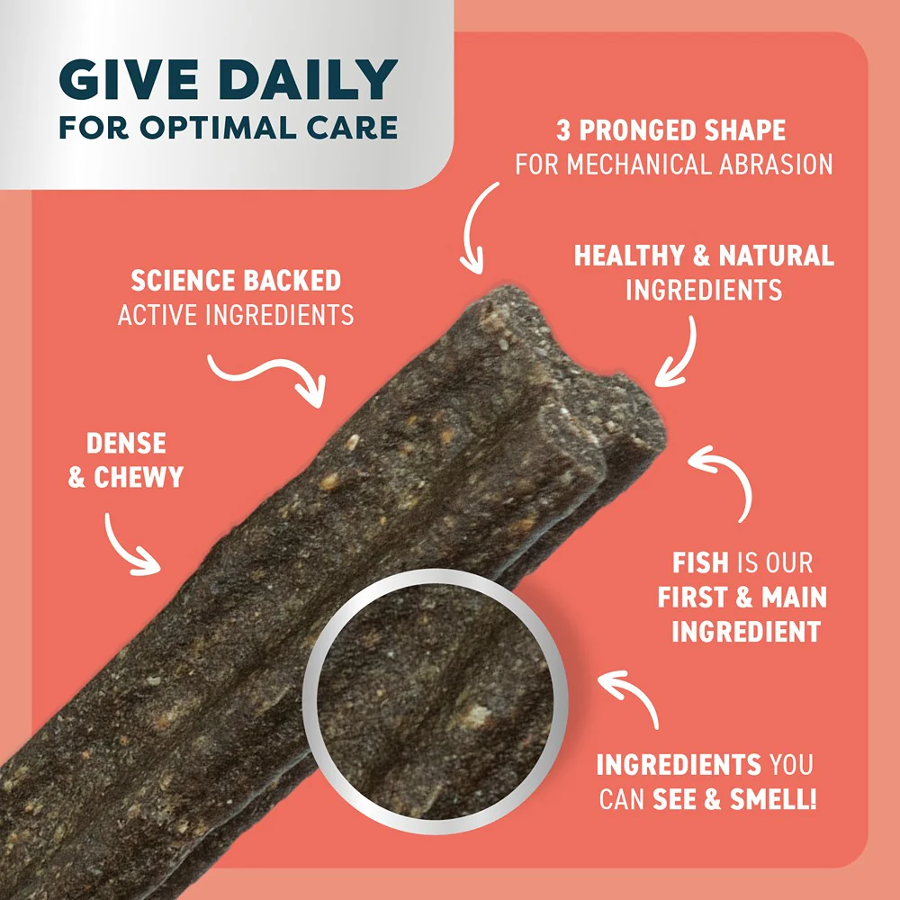Bell & Bone Salmon, Mint & Charcoal Dental Stick - Image 15
