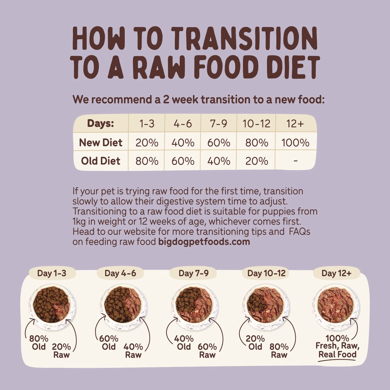 Big Dog BARF Wellbeing Diet Raw Dog Food - Image 10