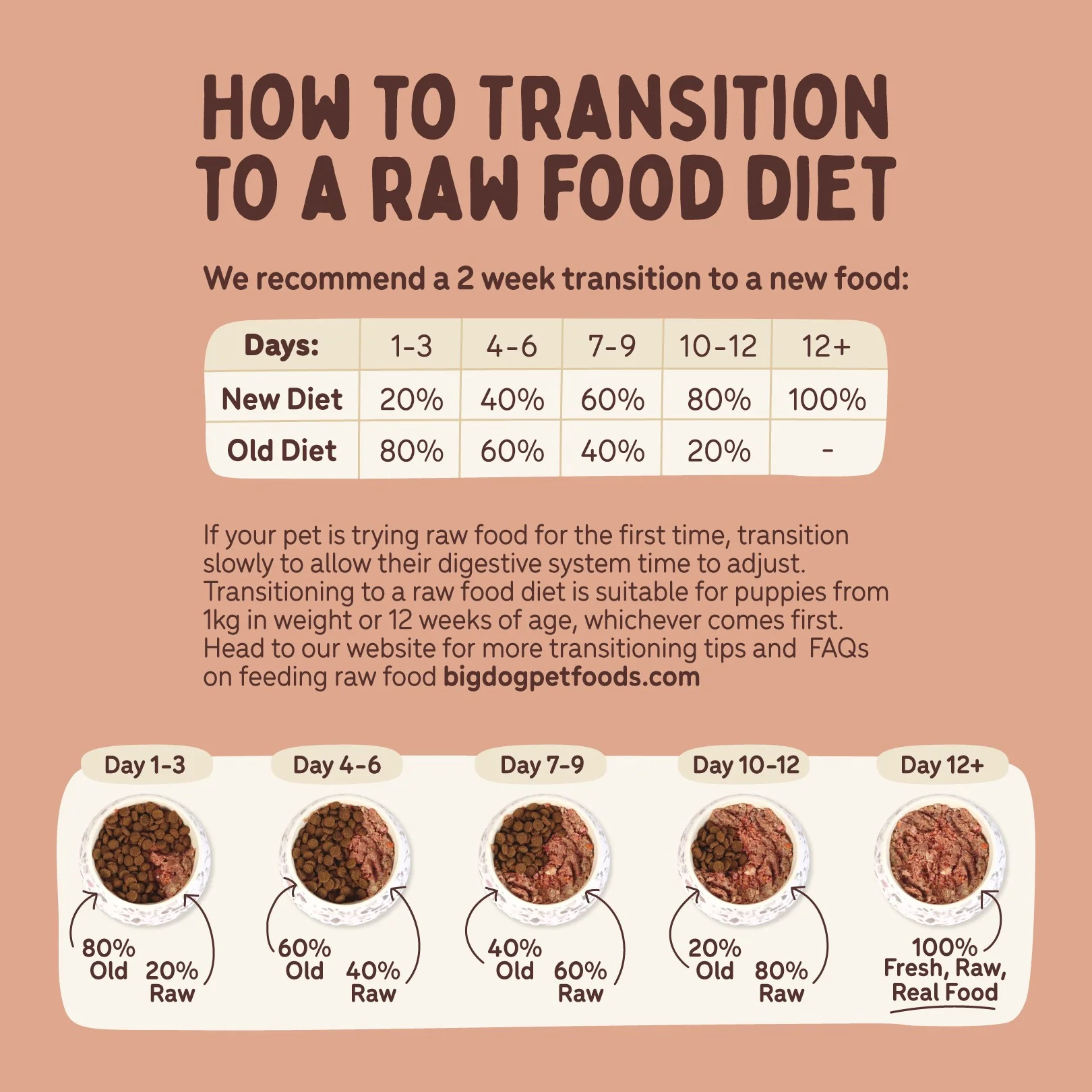 Big Dog BARF Beef Raw Dog Food - Image 10
