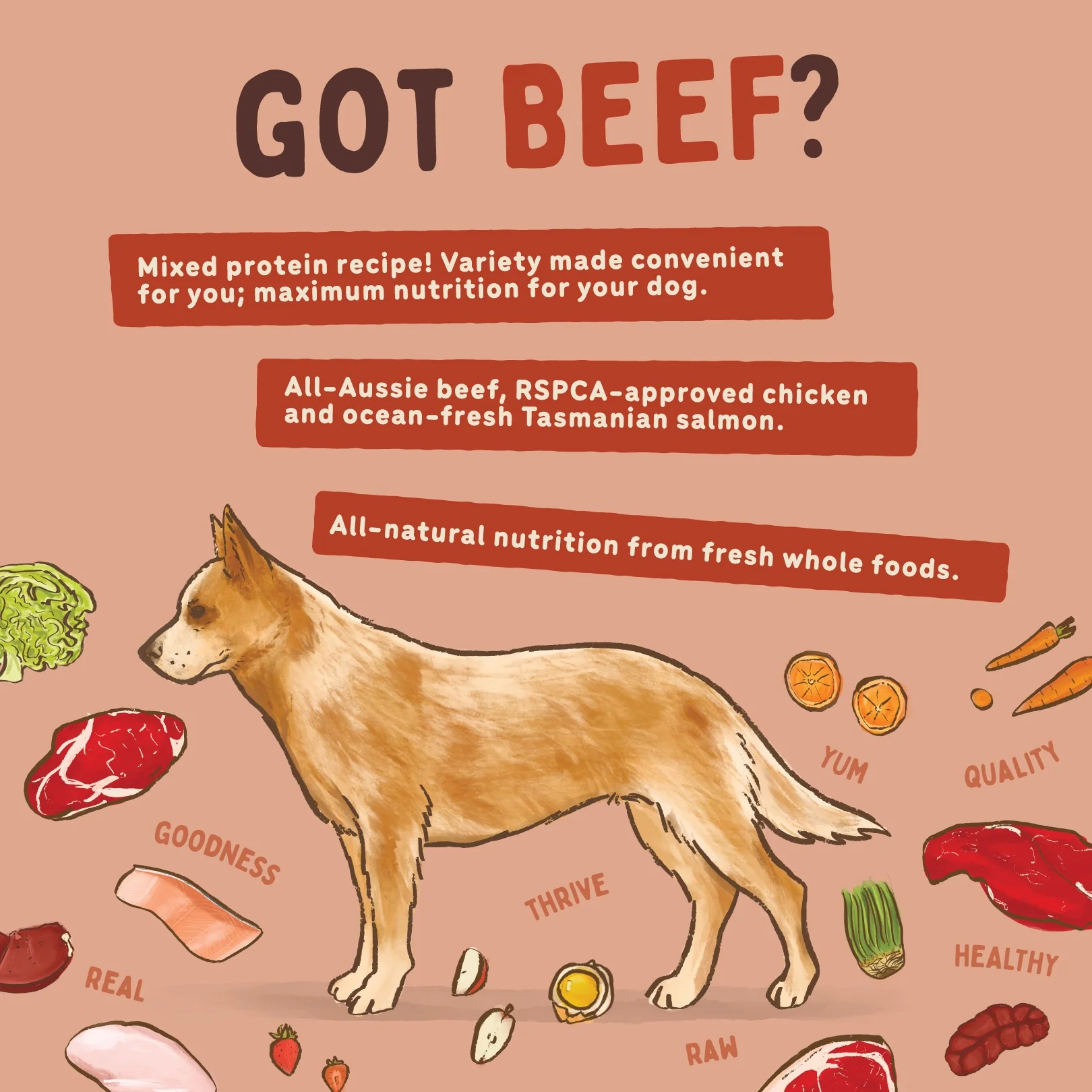 Big Dog BARF Beef Raw Dog Food - Image 7