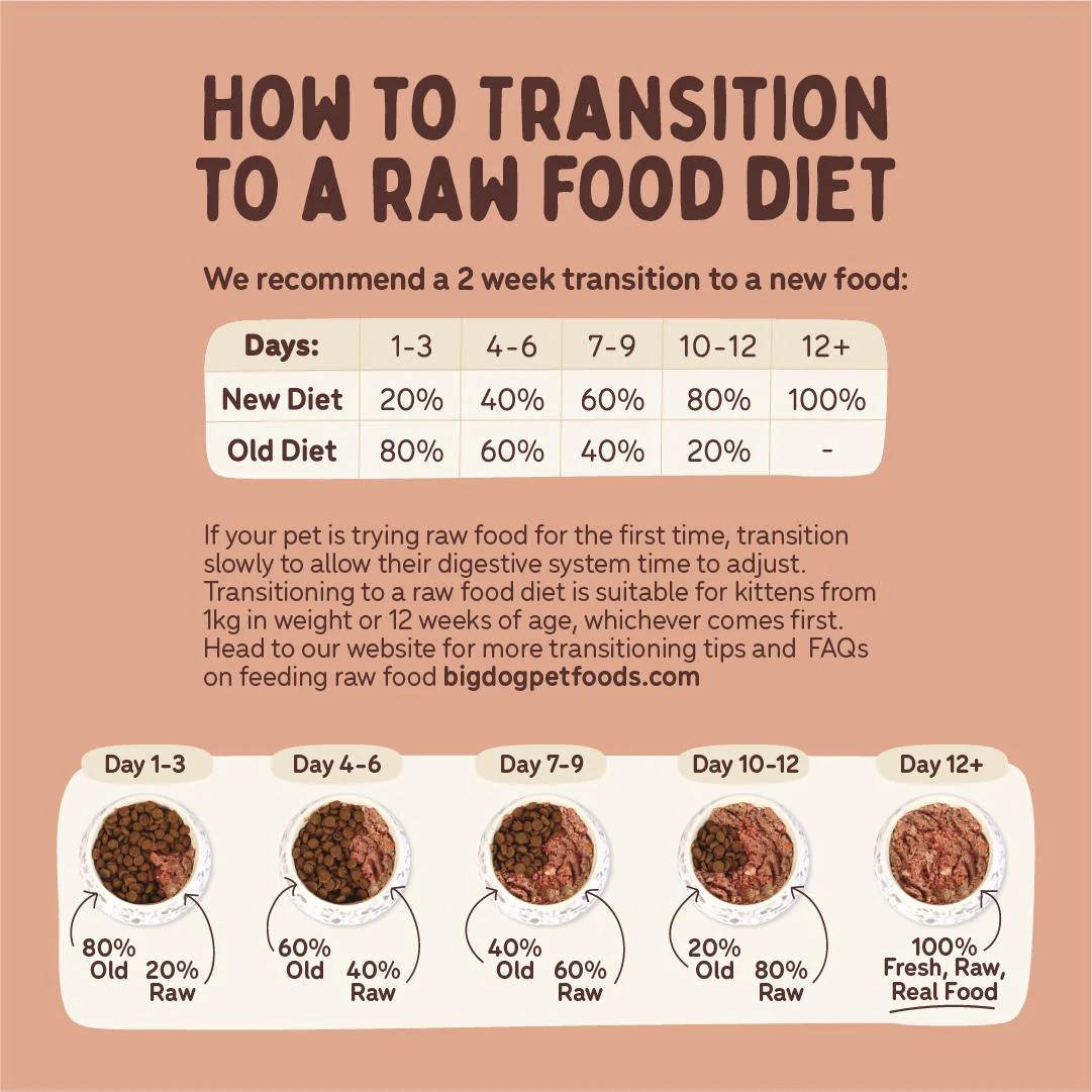 Big Dog BARF Beef Raw Cat Food - Image 5
