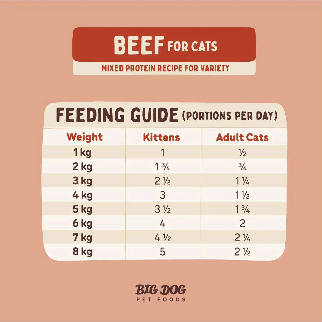 Big Dog BARF Beef Raw Cat Food - Image 6