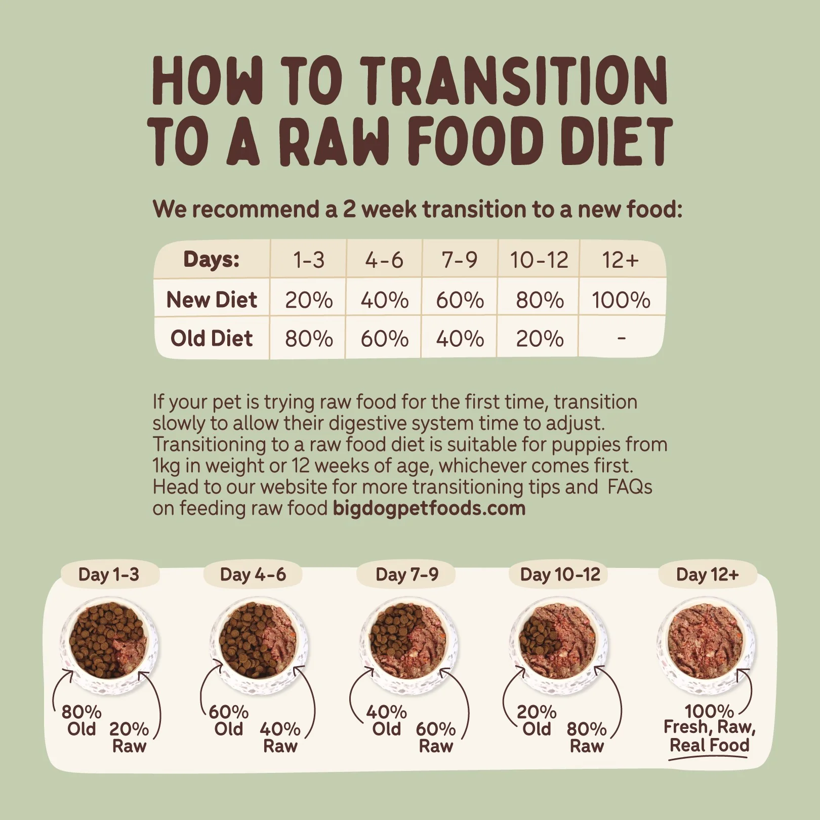Big Dog BARF Turkey Raw Dog Food - Image 10