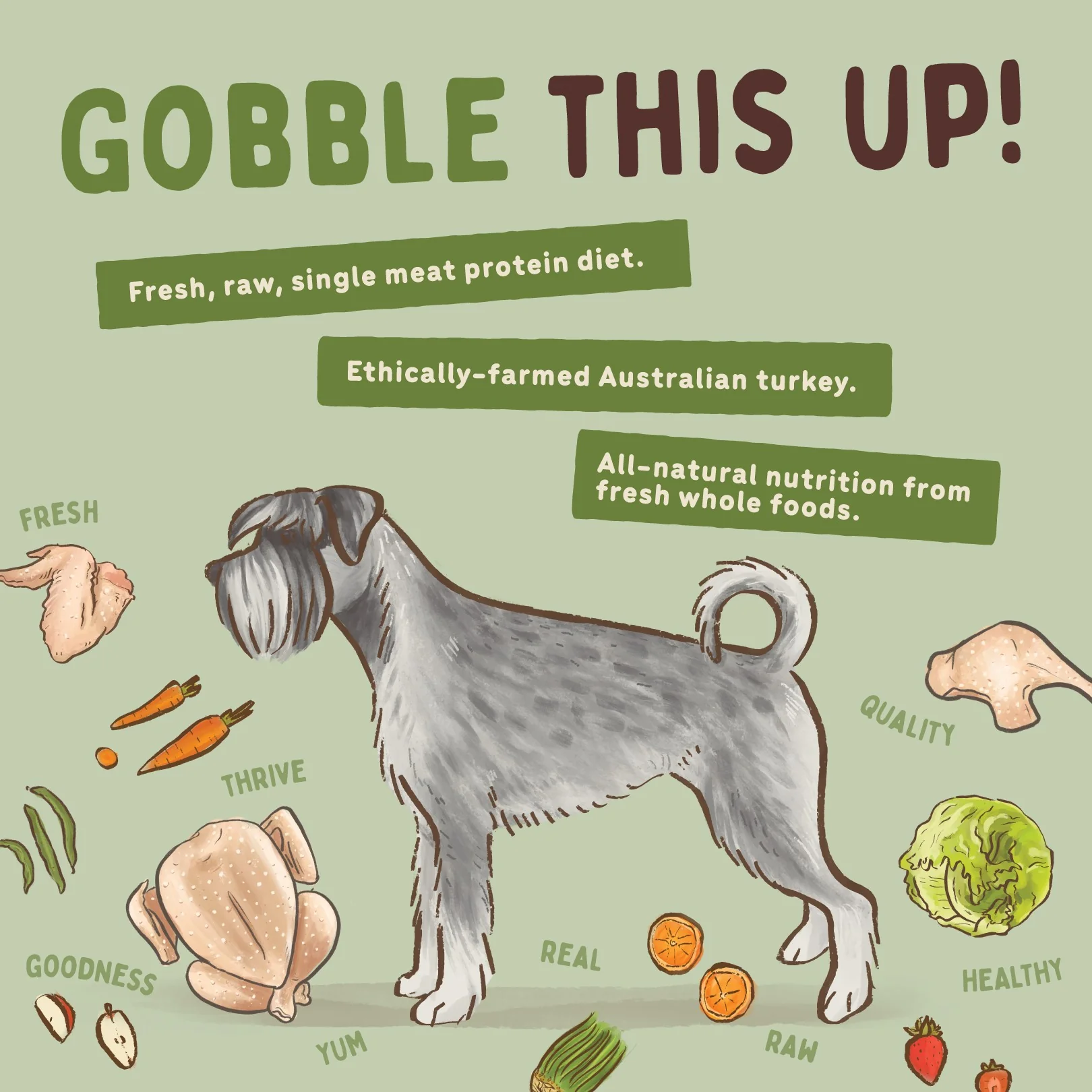 Big Dog BARF Turkey Raw Dog Food - Image 7