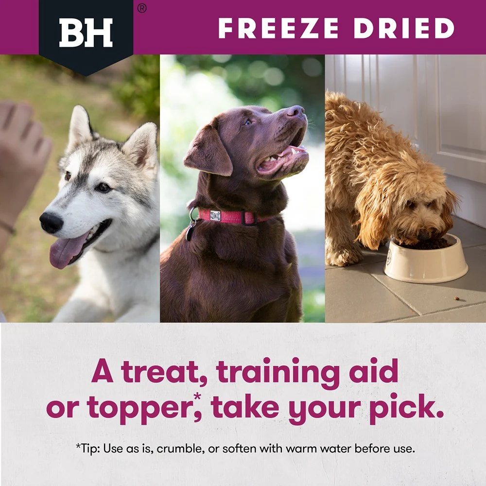 Black Hawk Freeze Dried Lamb Dog Treats - Image 12