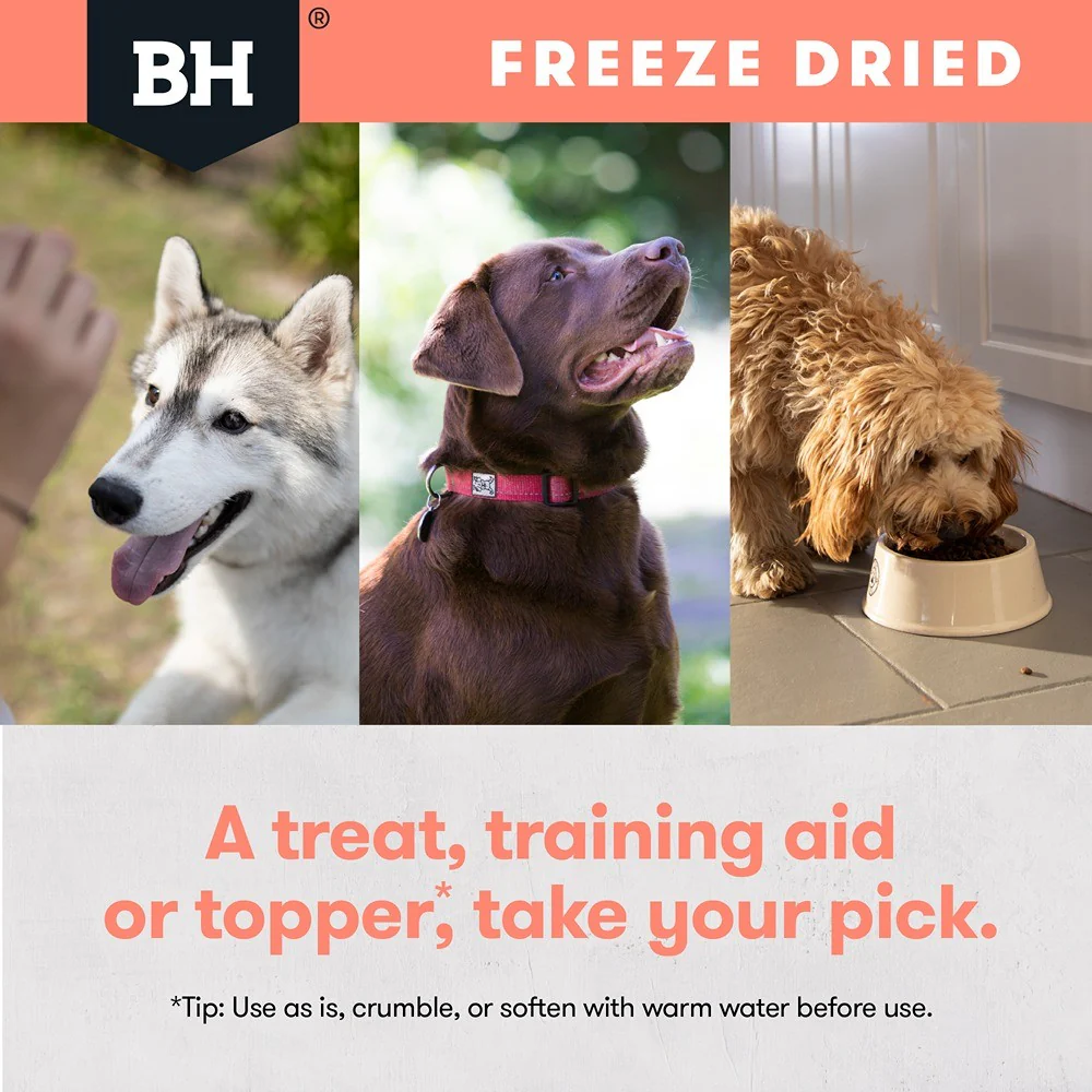 Black Hawk Freeze Dried Whole Salmon Dog Treats - Image 12