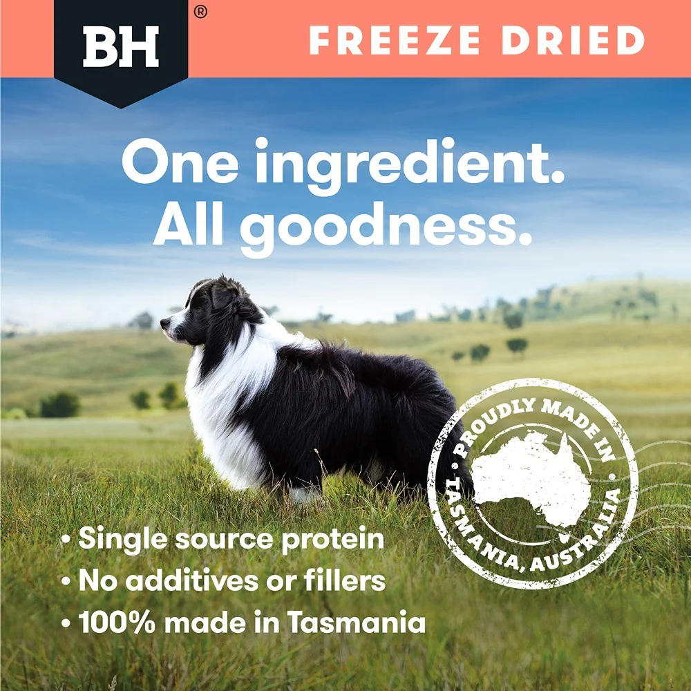 Black Hawk Freeze Dried Whole Salmon Dog Treats - Image 4