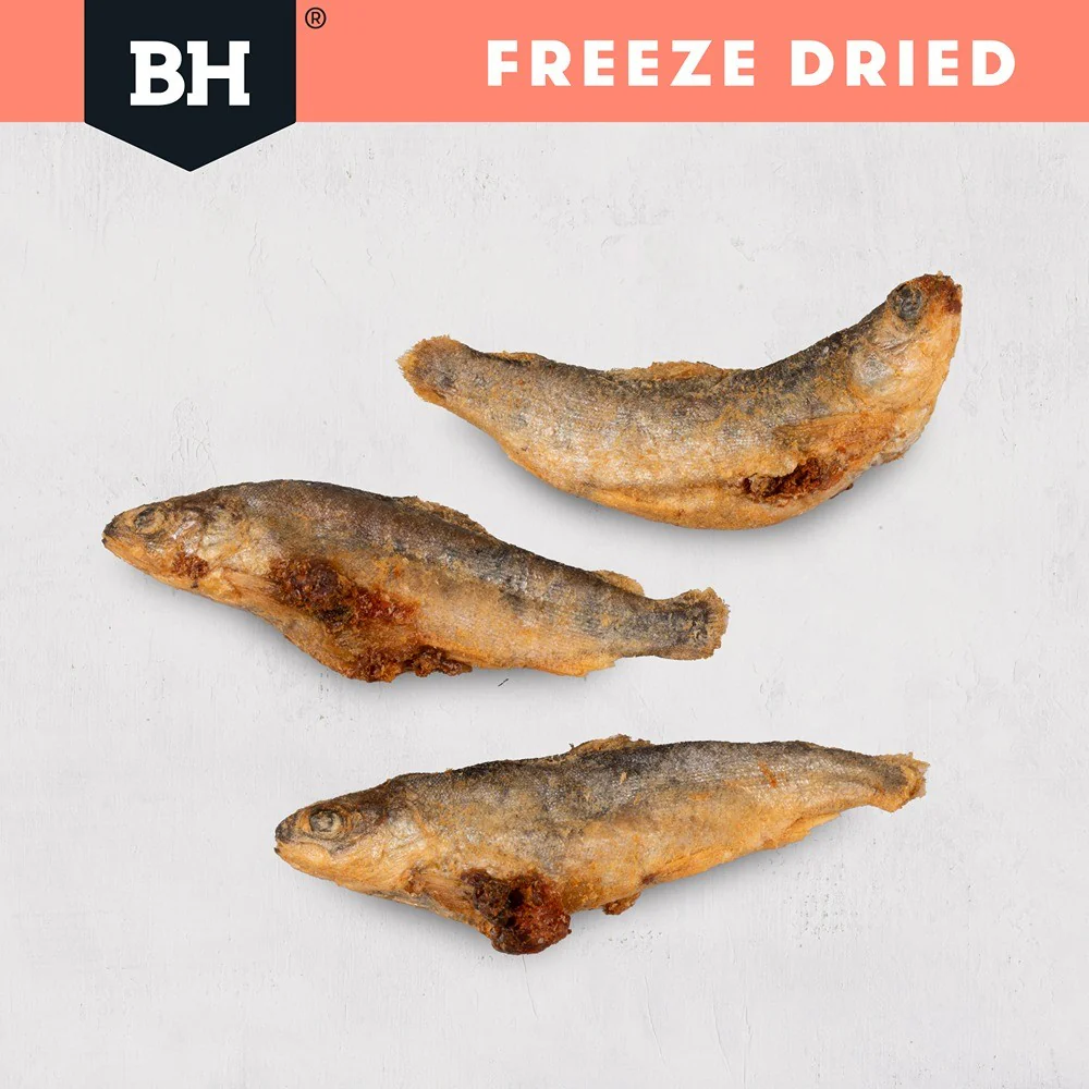 Black Hawk Freeze Dried Whole Salmon Dog Treats - Image 6
