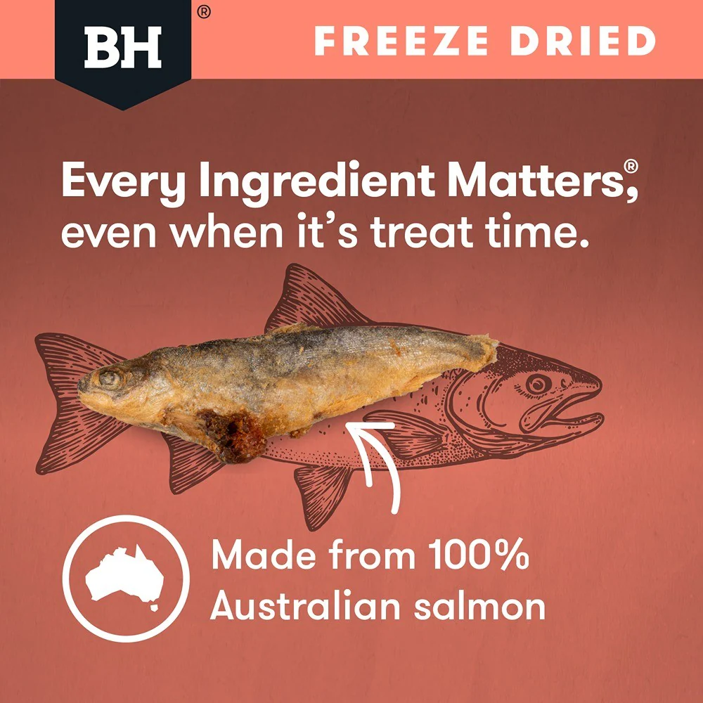 Black Hawk Freeze Dried Whole Salmon Dog Treats - Image 7