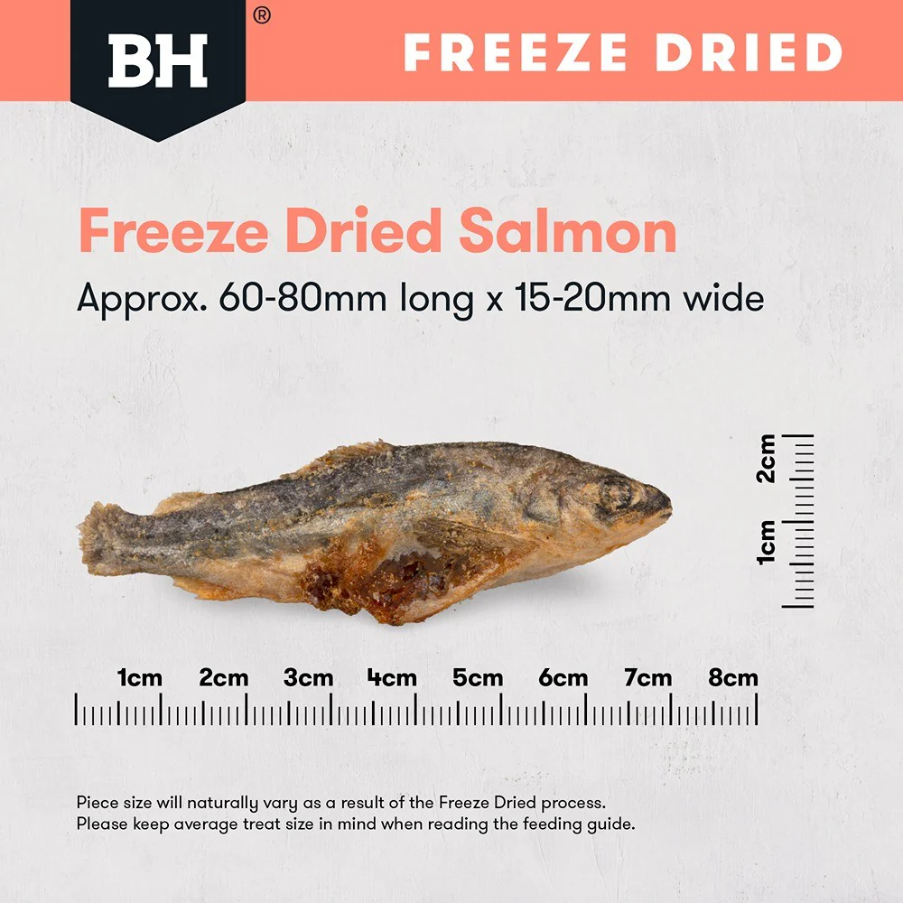 Black Hawk Freeze Dried Whole Salmon Dog Treats - Image 8