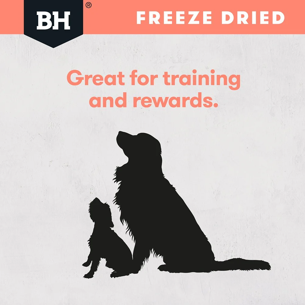 Black Hawk Freeze Dried Whole Salmon Dog Treats - Image 9
