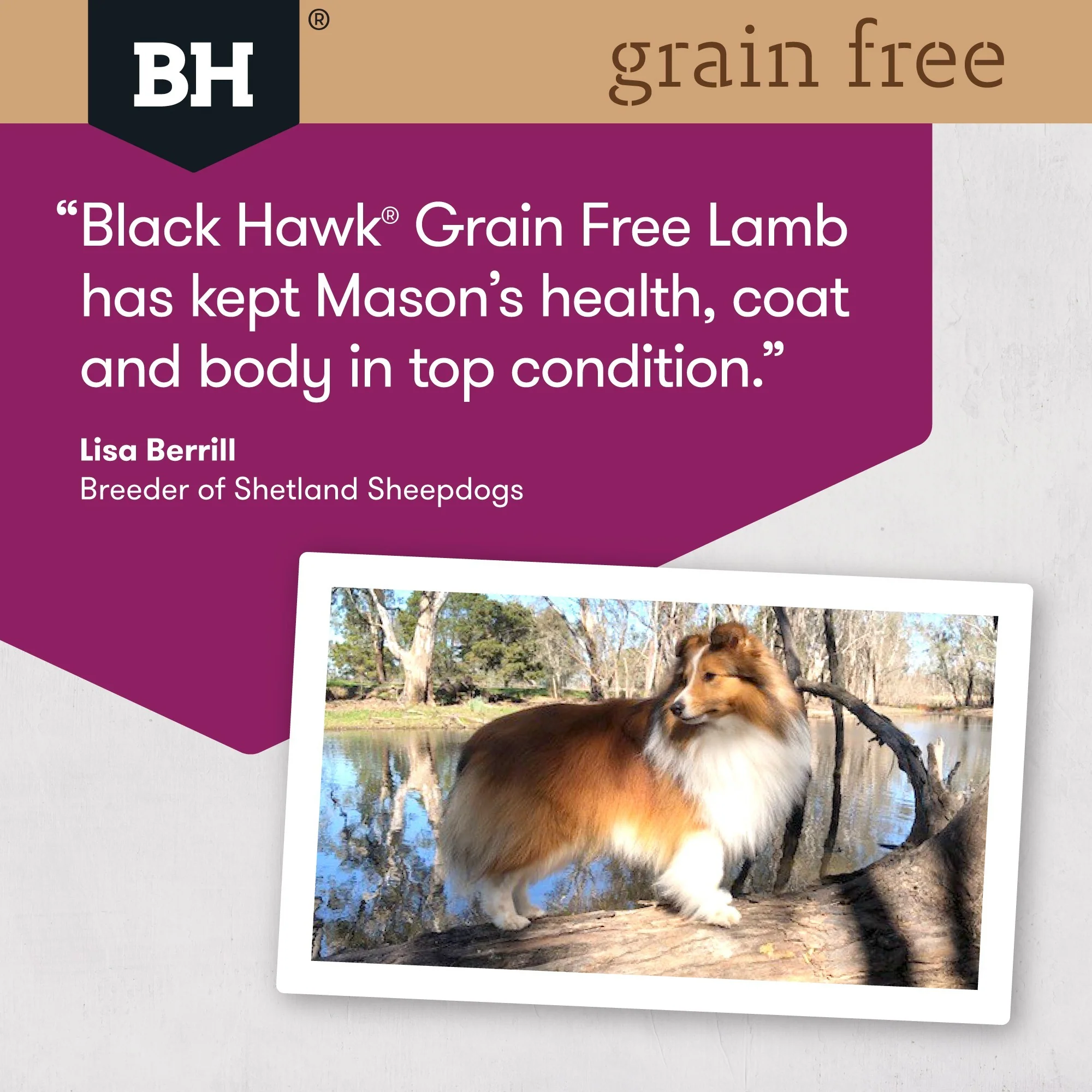 Black Hawk Grain Free Adult Lamb Dry Dog Food - Image 16