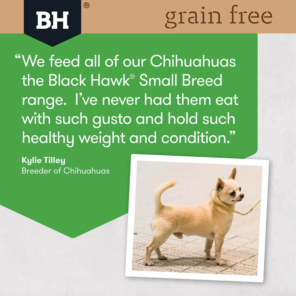 Black Hawk Small Breed Grain Free Chicken Adult Dry Dog Food - Image 11