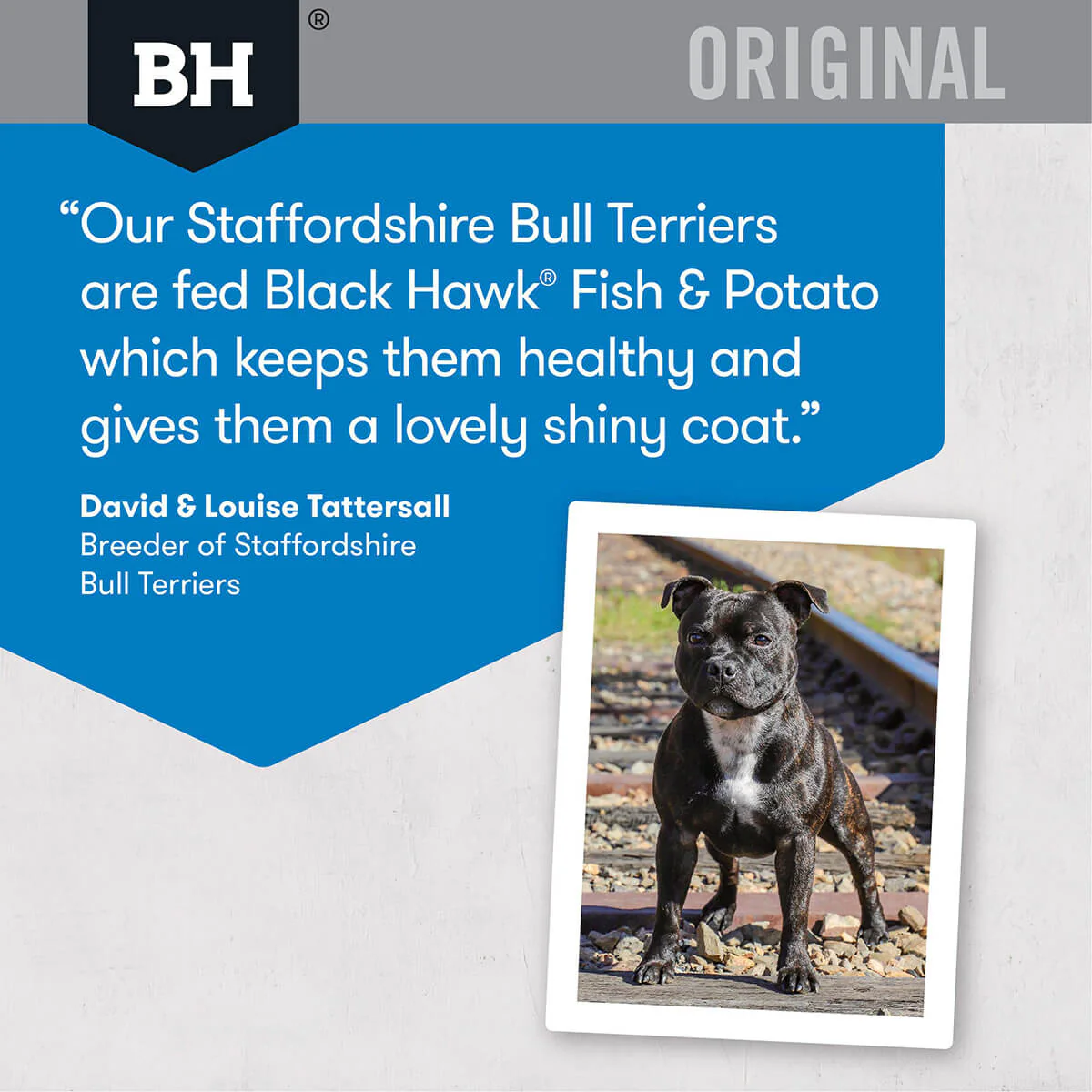 Black Hawk Original Fish & Potato Adult Dry Dog Food - Image 6