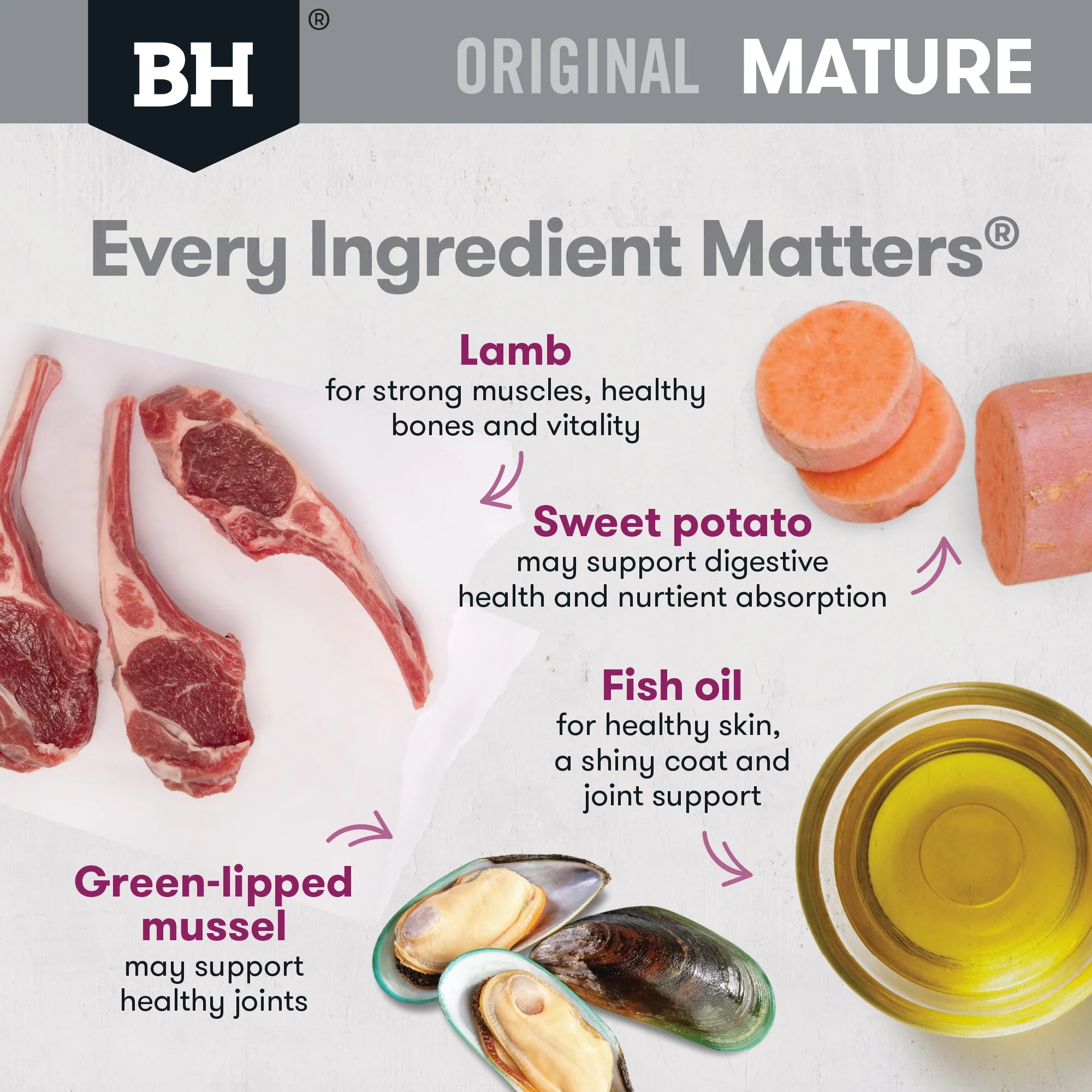 Black Hawk Original Mature Lamb & Rice Dry Dog Food - Image 7