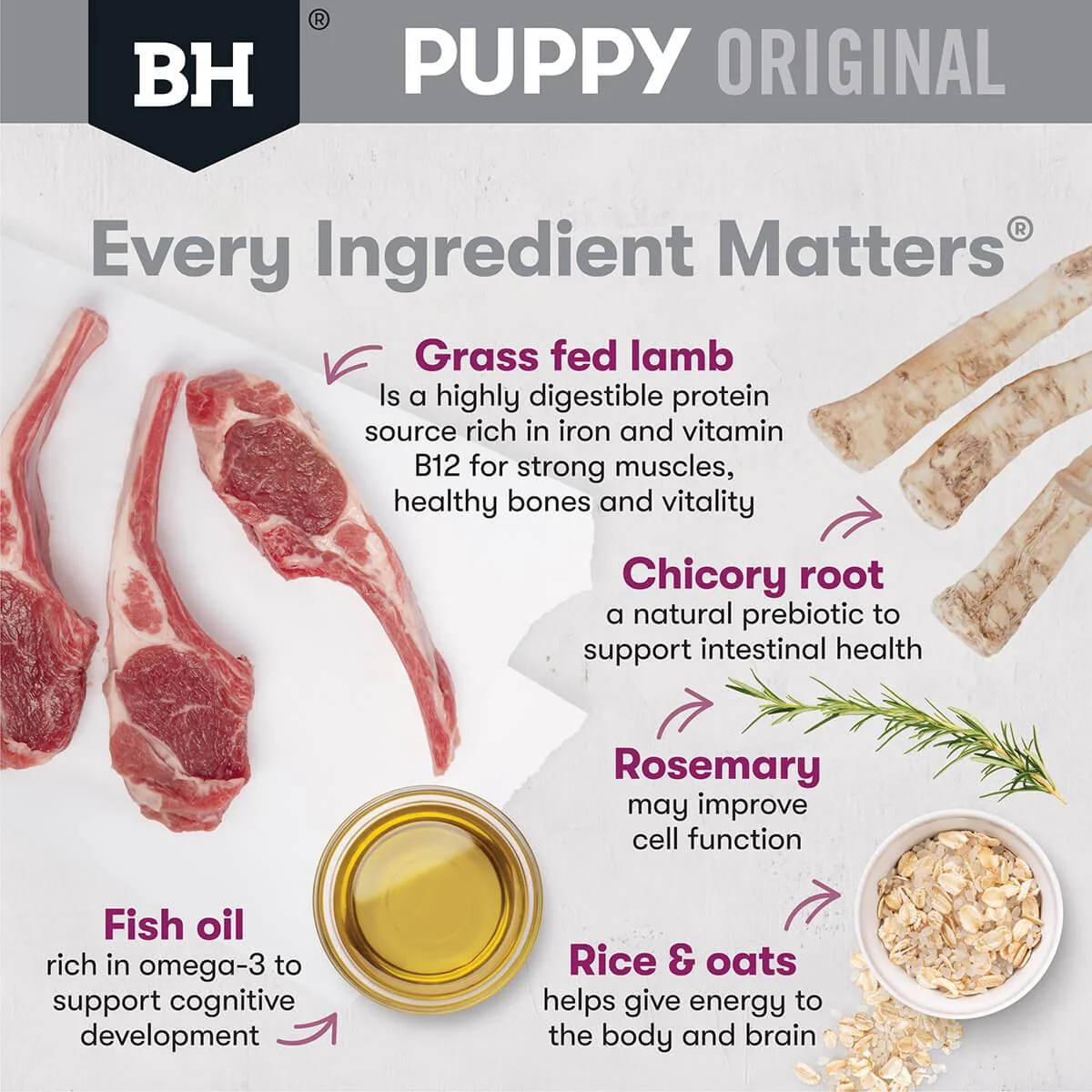 Black Hawk Small Breed Lamb & Rice Puppy Dry Dog Food - Image 4