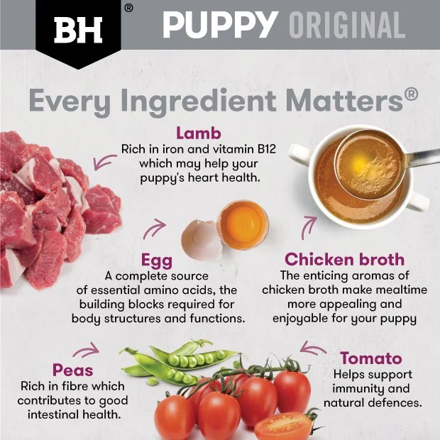 Black Hawk Puppy Lamb & Vegetables Small Breed Wet Dog Food - Image 8