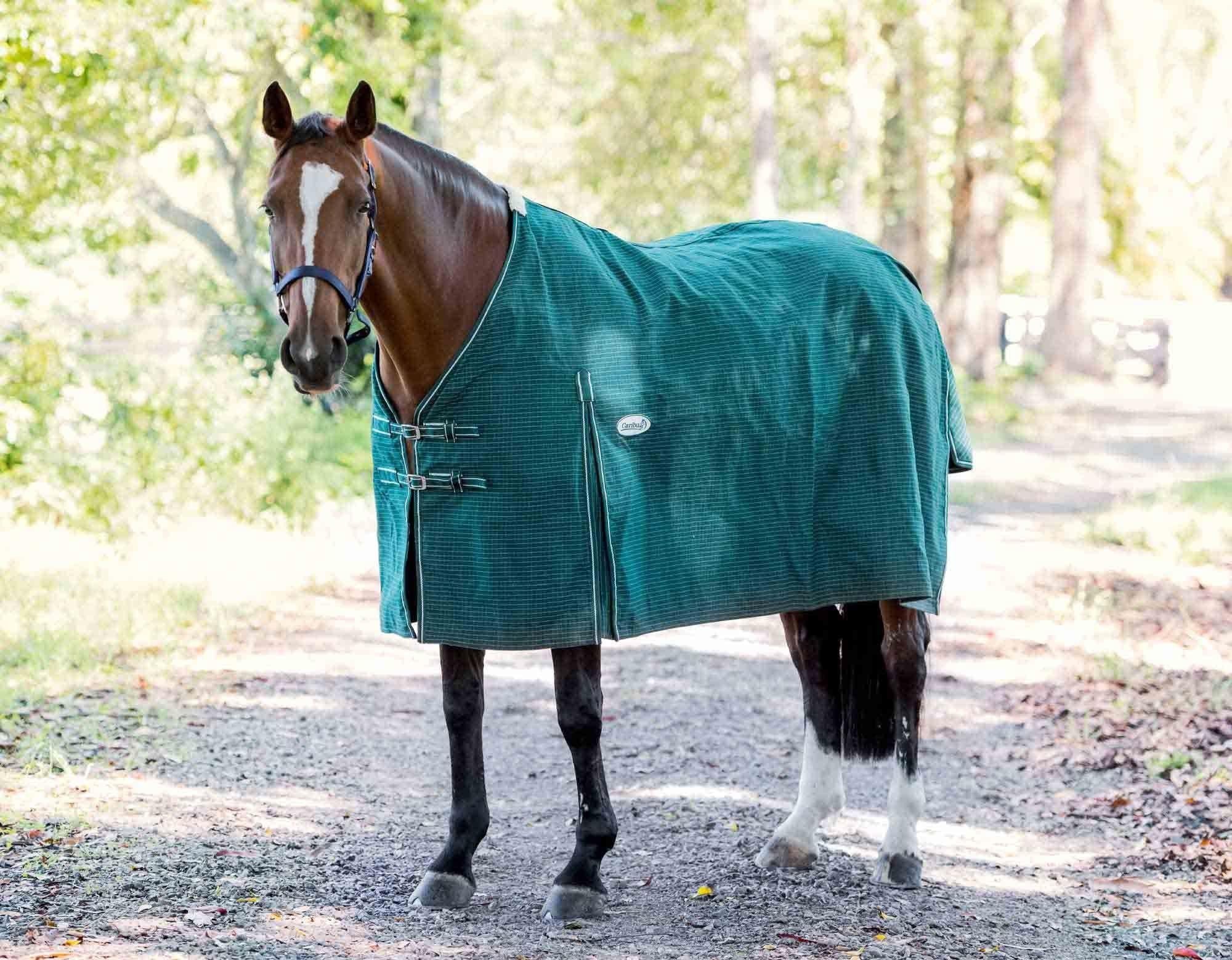 Blaze Lined Canvas Horse Rug 20oz - Image 6
