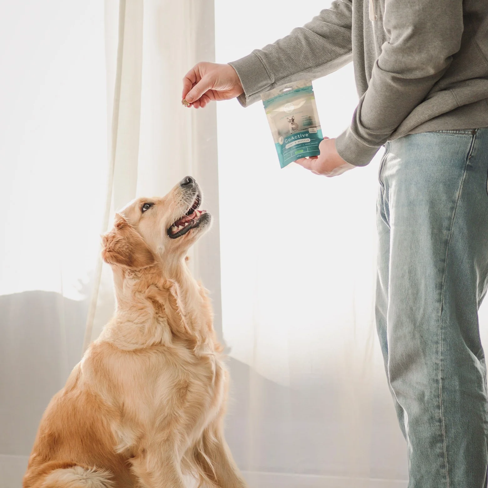 Blue Pet Co GoActive Joint & Muscle Peanut Butter Supplement for Dogs - Image 11