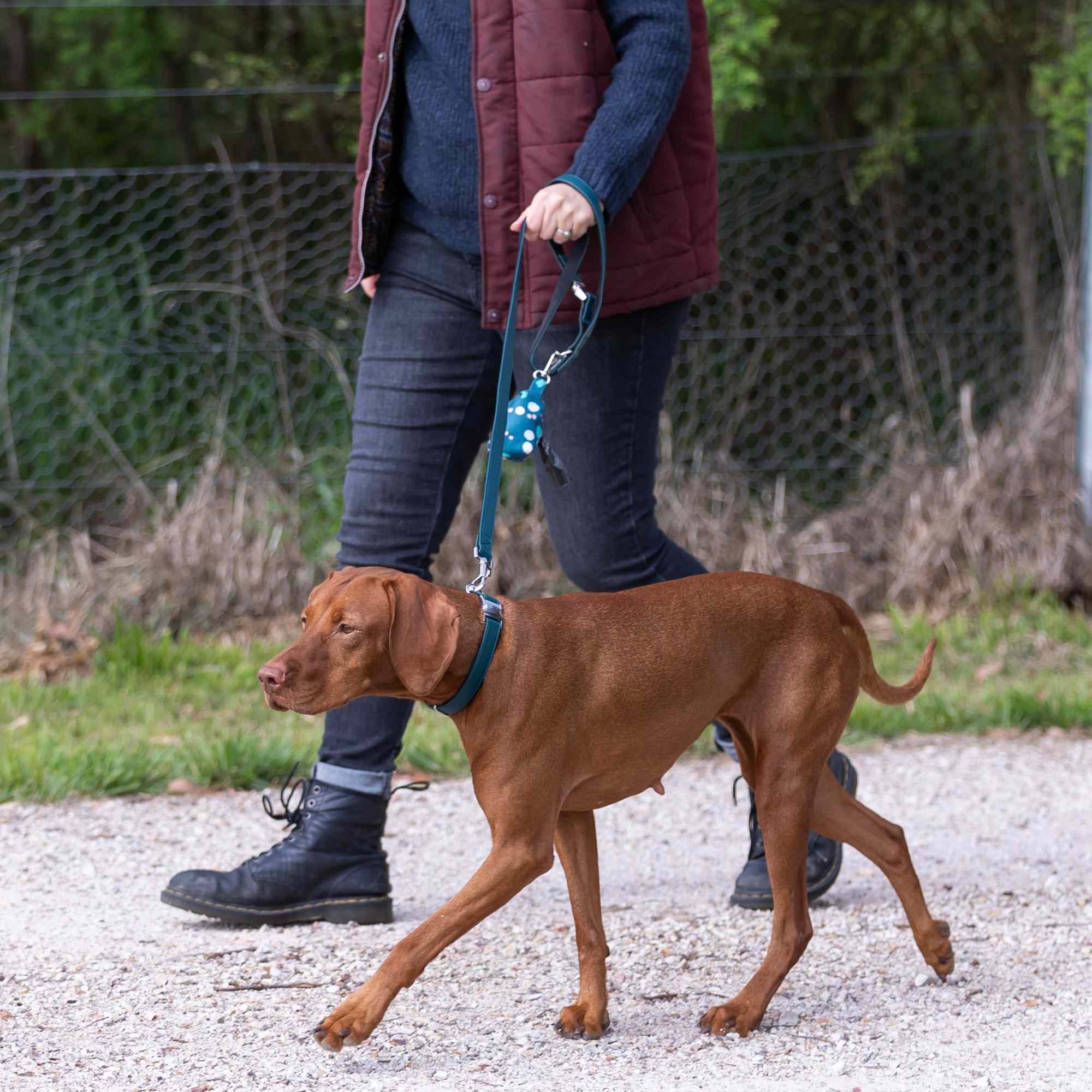 Buddy & Belle Dog Lead - Image 3