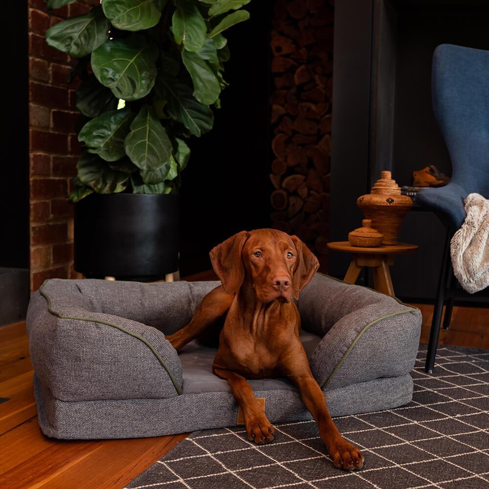 Buddy & Belle Orthopedic Lounge Dog Bed - Image 8