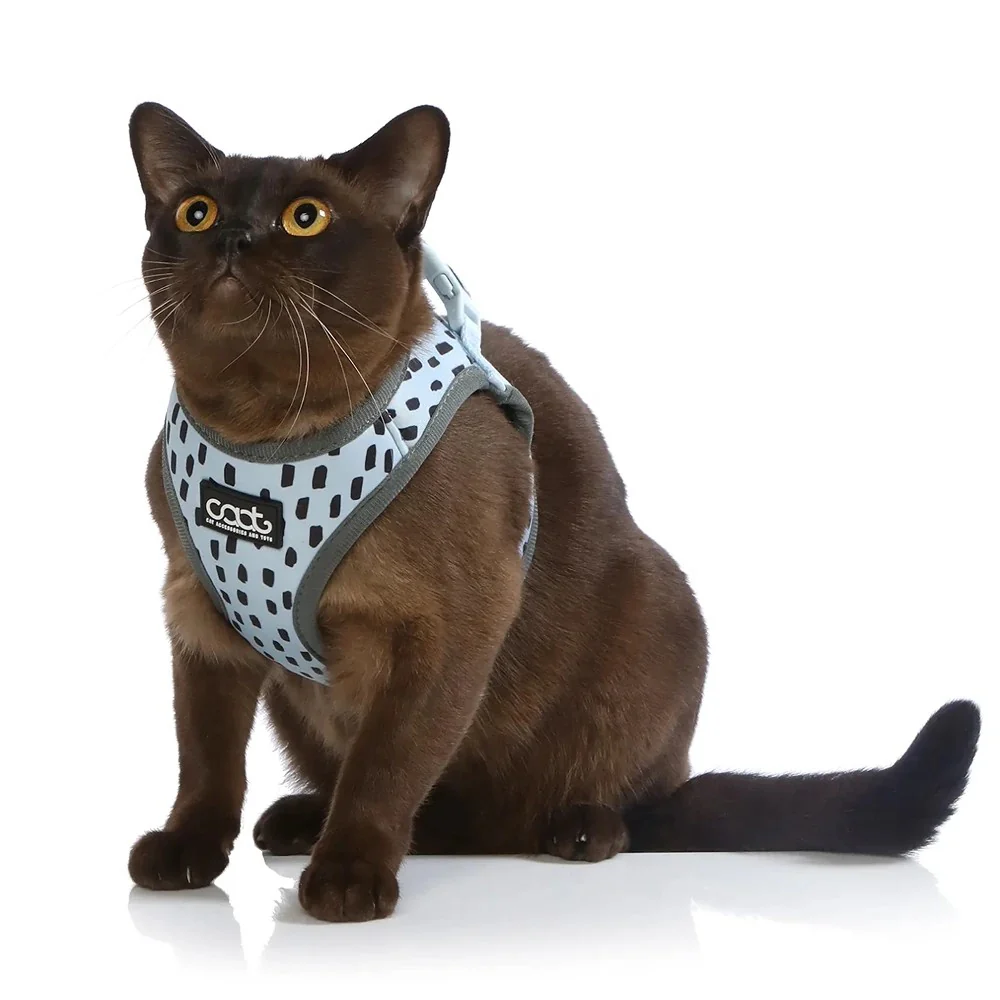 CAAT Neoflex Cat Harness and Leash Kit Dash - Image 3