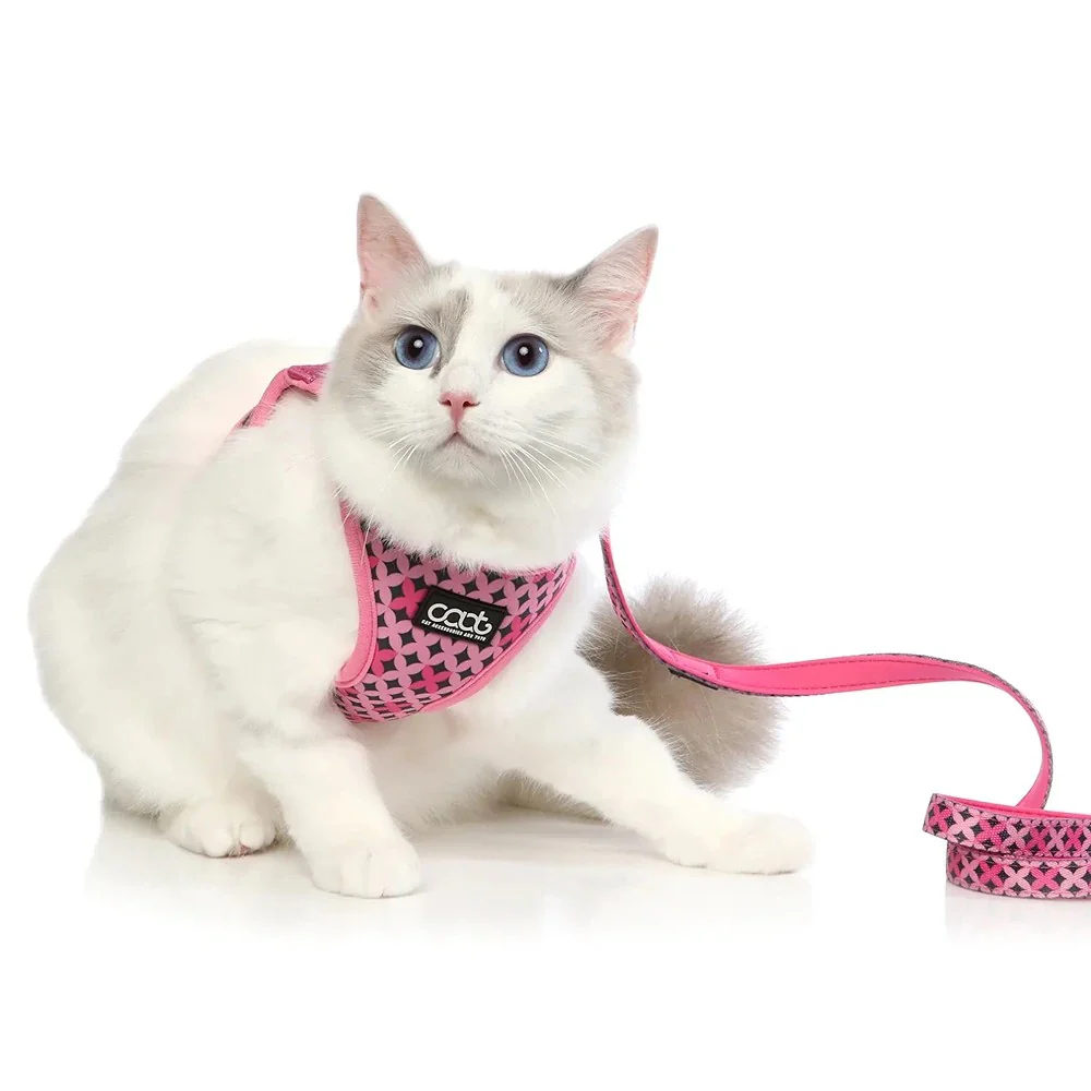 CAAT Neoflex Cat Harness and Leash Kit Dash - Image 4