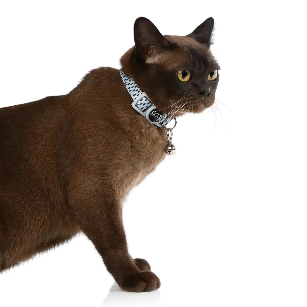 CAAT Nylon Kitten Collar Dash - Image 4
