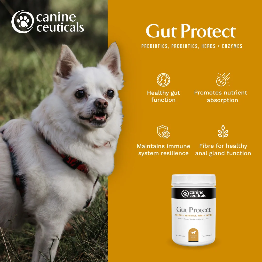 CanineCeuticals Gut Protect 200g - Image 4