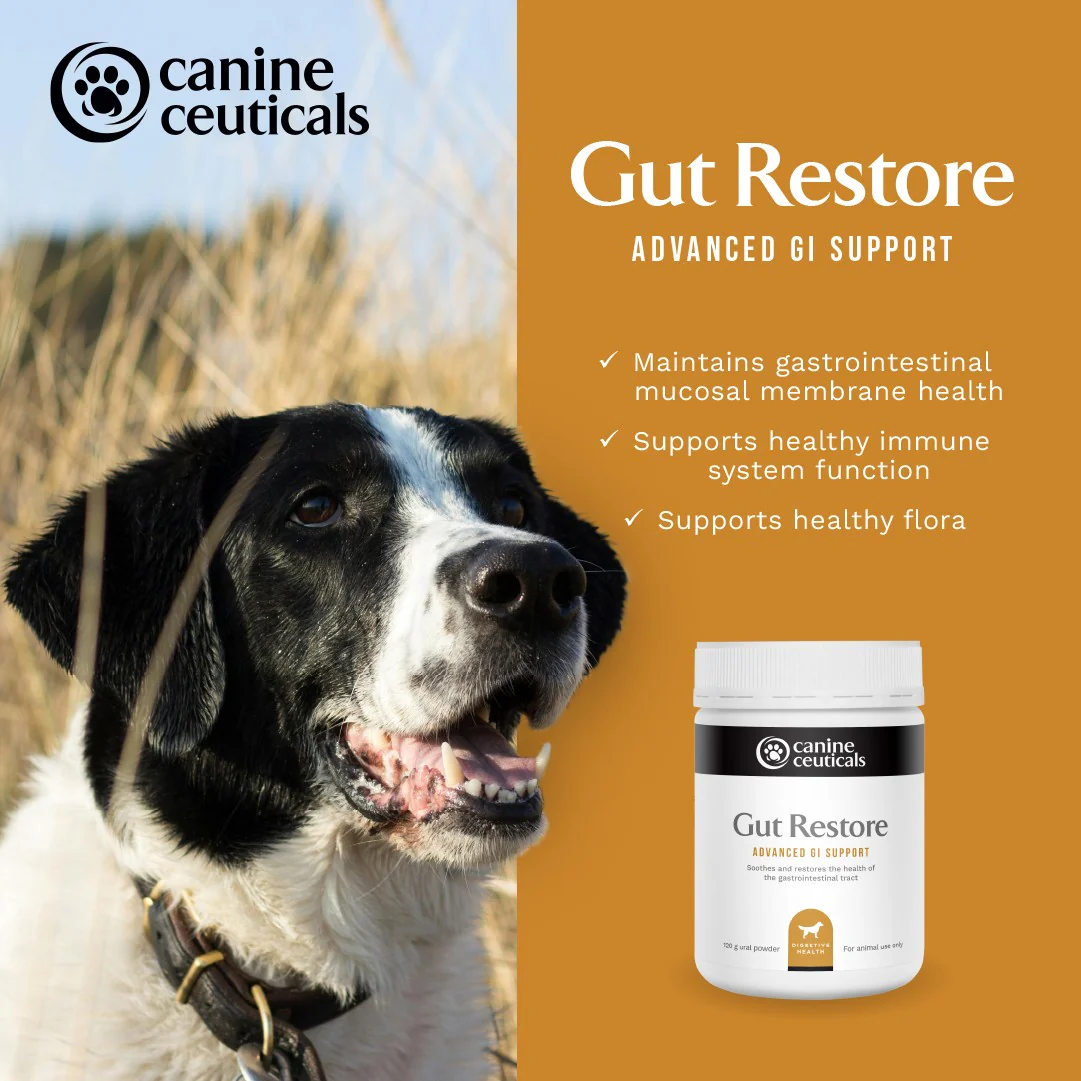 CanineCeuticals Gut Restore 120g - Image 4