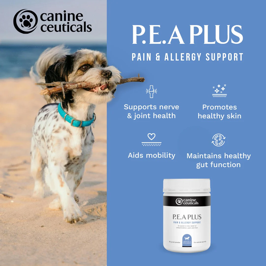 CanineCeuticals P.E.A. Plus 60g - Image 4