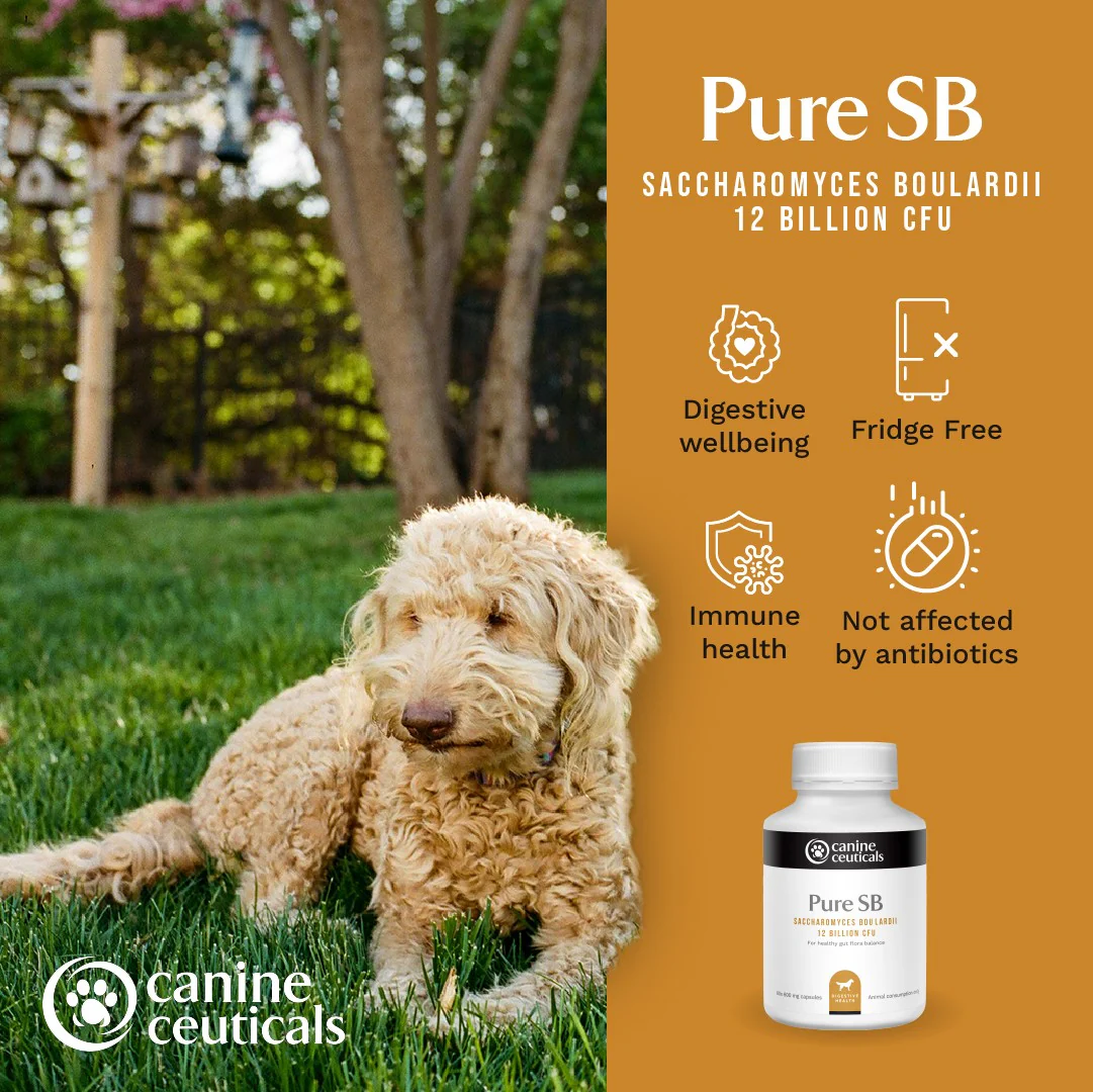 CanineCeuticals Pure SB 60 capsules - Image 4