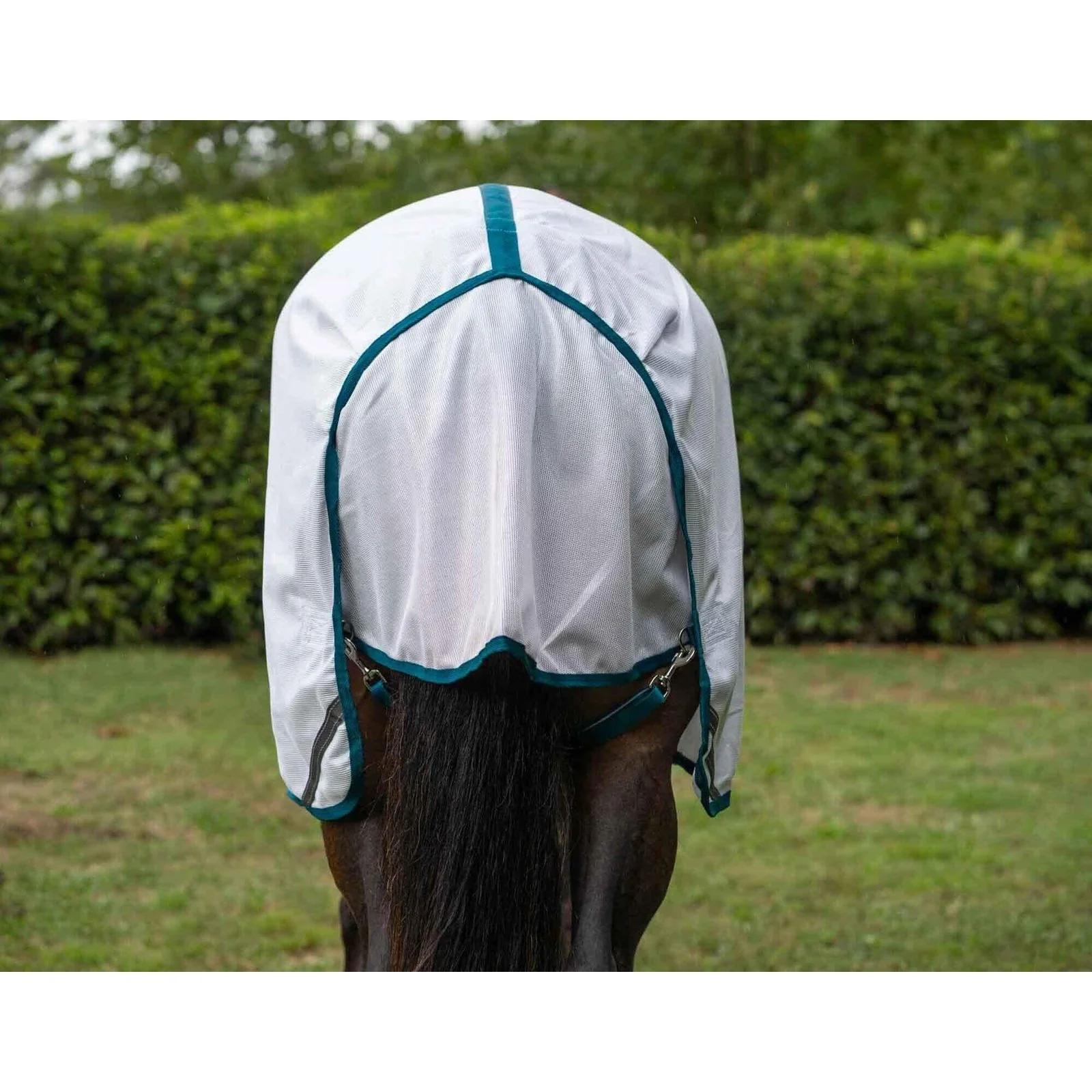 Caribu 410 Mesh Horse Rug Combo - Image 14
