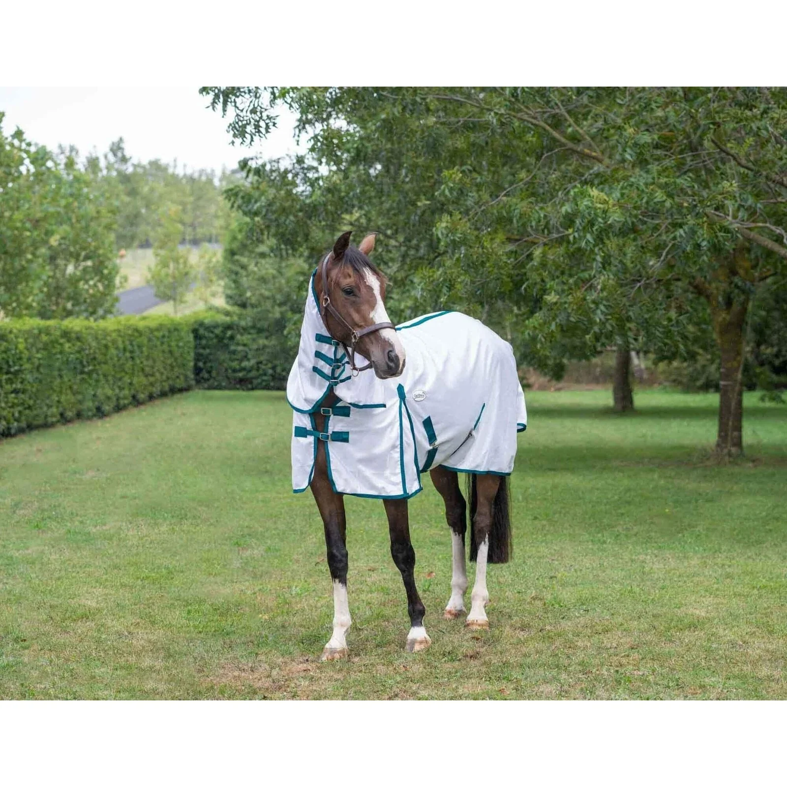 Caribu 410 Mesh Horse Rug Combo - Image 7