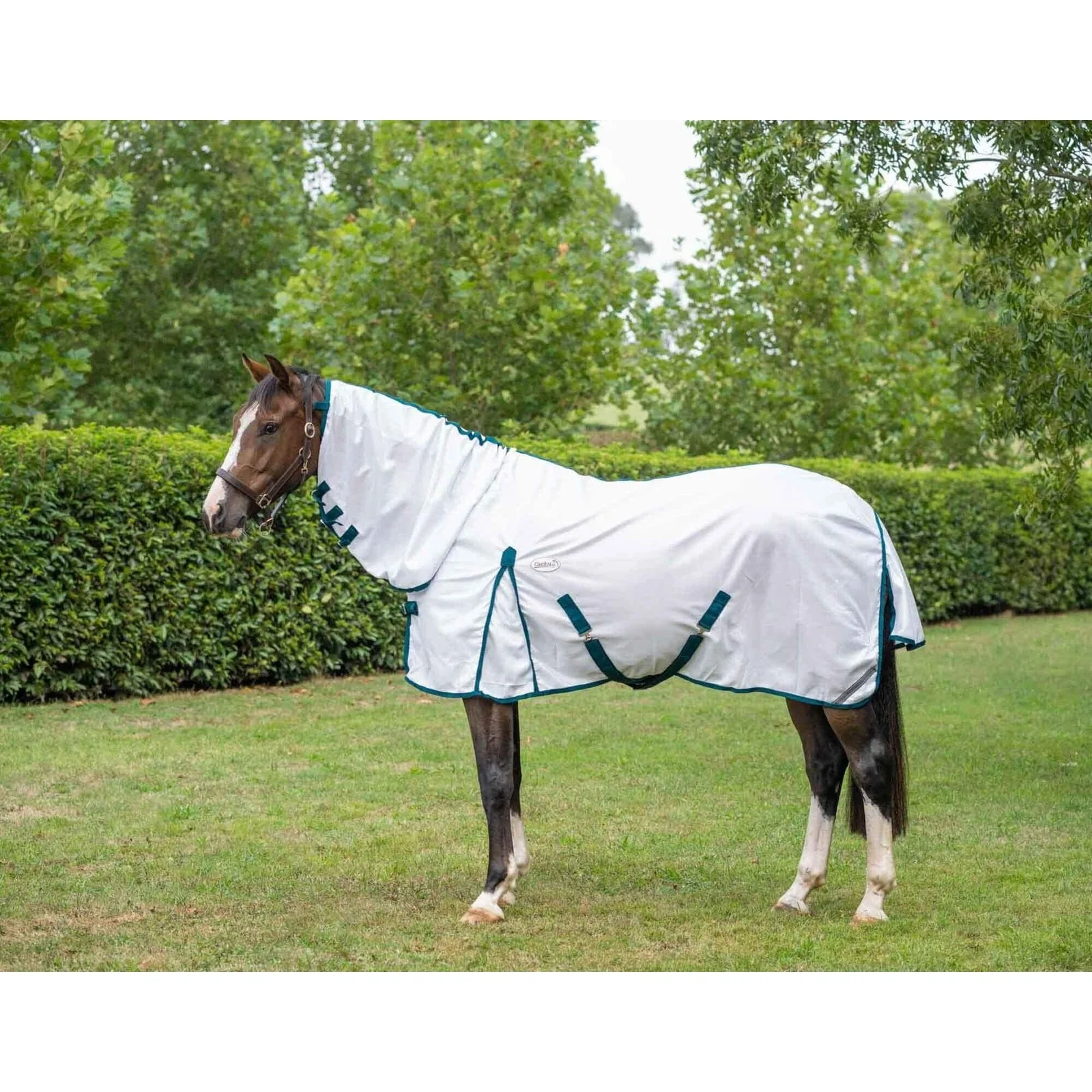 Caribu 410 Mesh Horse Rug Combo - Image 8