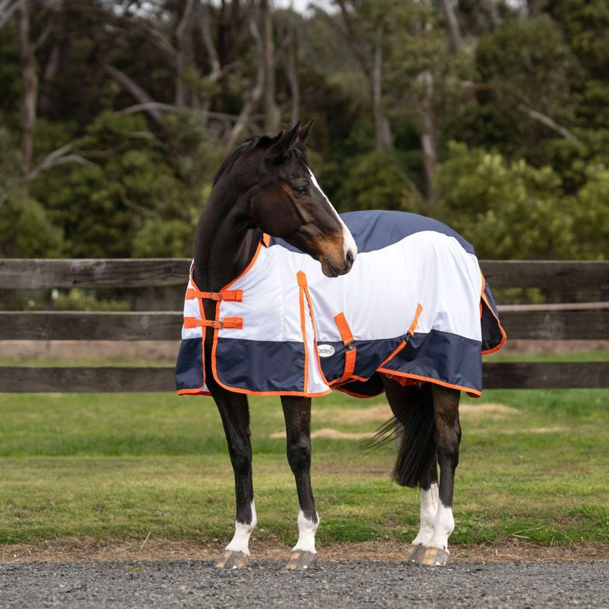 Caribu AeroMist Detach-a-Neck Midnight Orange Horse Rug - Image 10