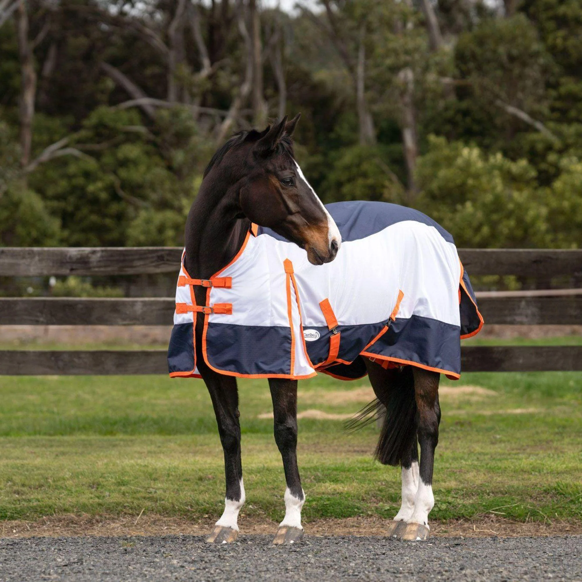 Caribu AeroMist Detach-a-Neck Midnight Orange Horse Rug - Image 2