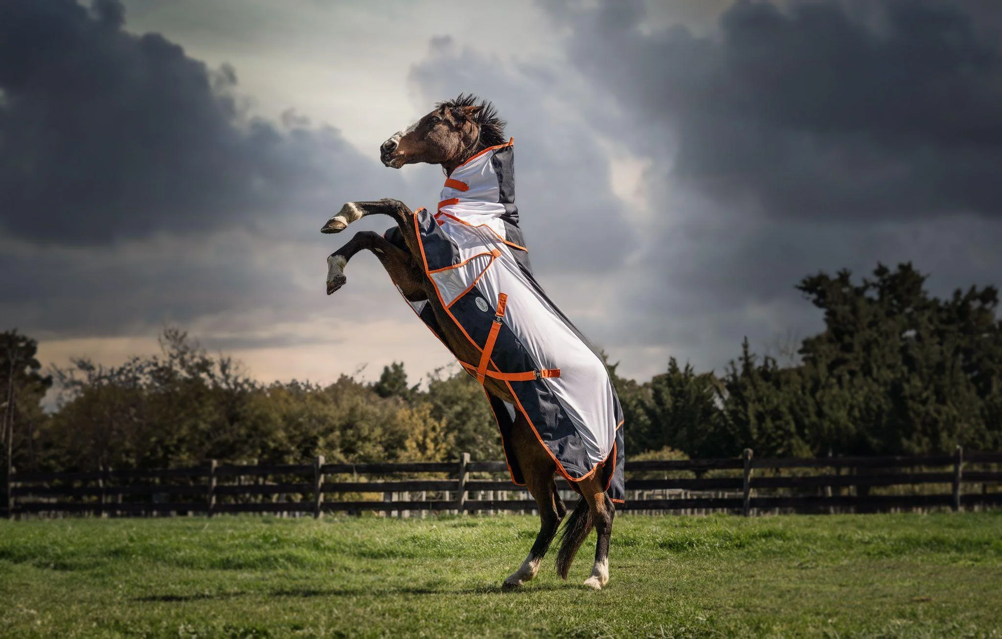 Caribu AeroMist Detach-a-Neck Midnight Orange Horse Rug - Image 45