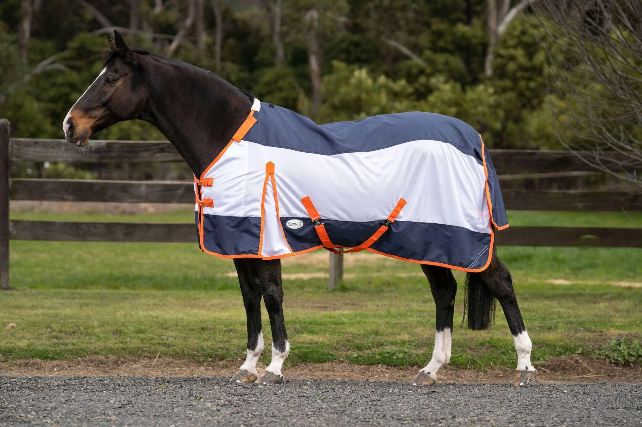 Caribu AeroMist Detach-a-Neck Midnight Orange Horse Rug - Image 55