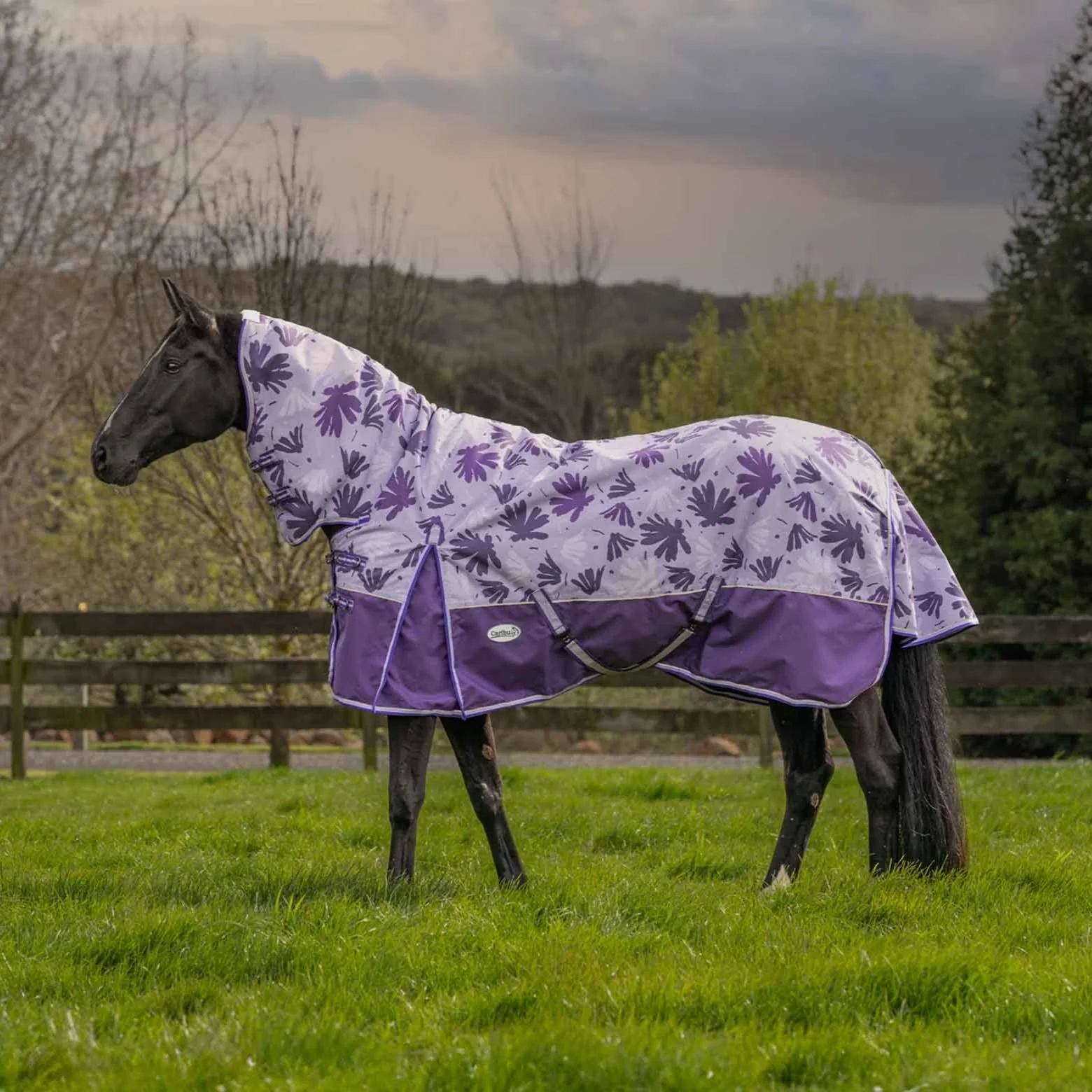 Caribu Alpine Combo Horse Rug 200g Orchid Spray - Image 12