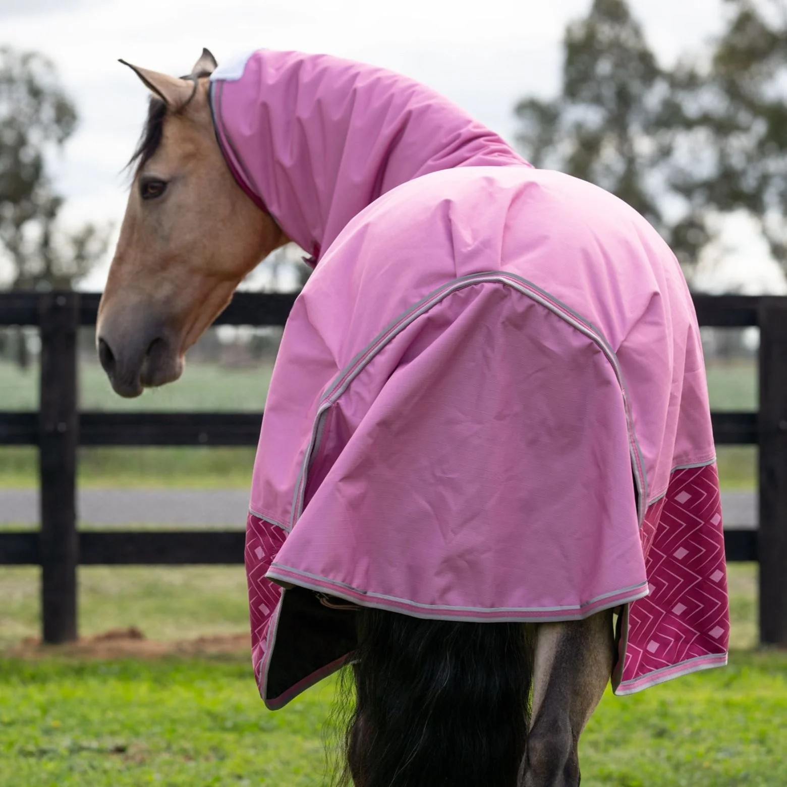 Caribu Alpine Combo Horse Rug 200g Rose Bloom - Image 36