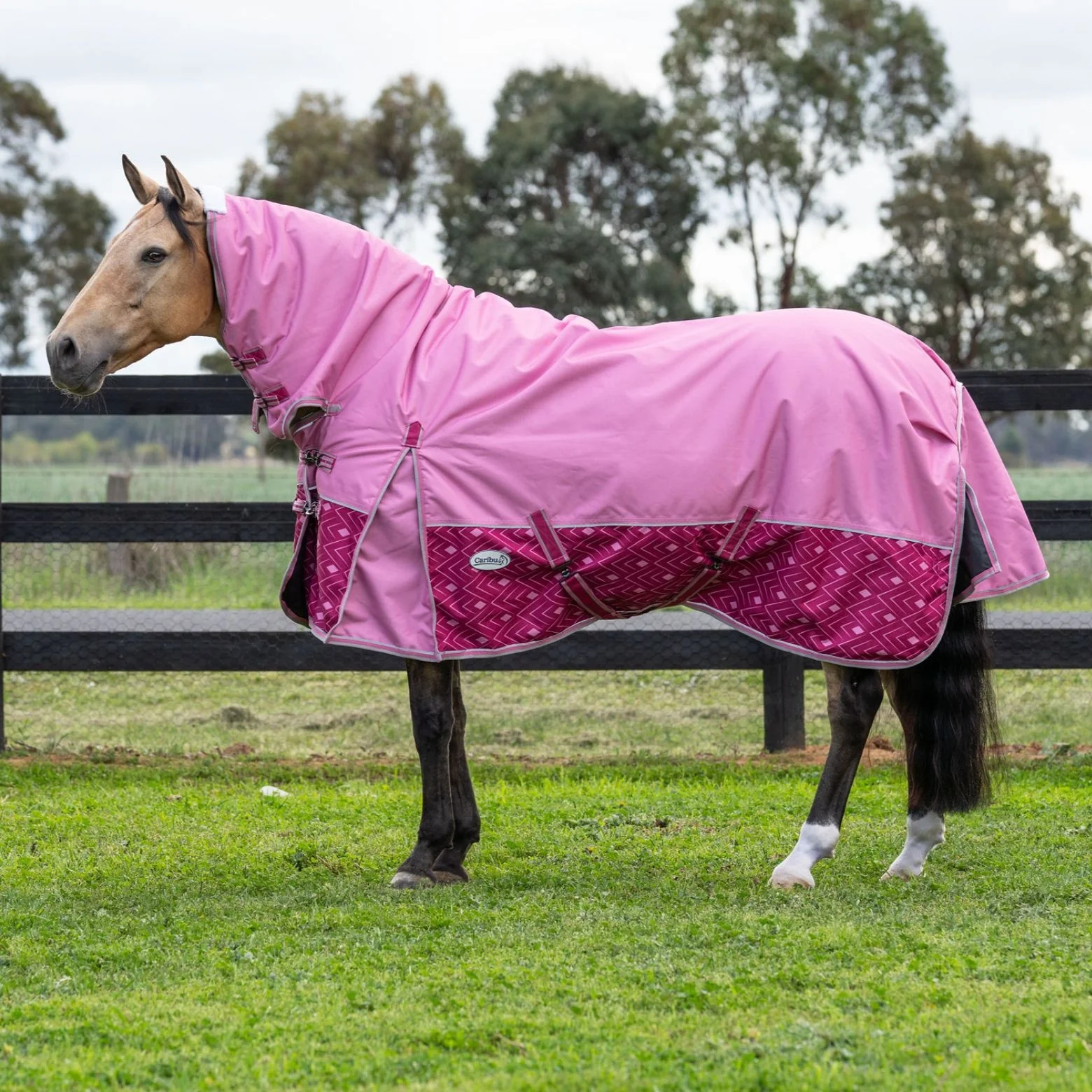 Caribu Alpine Combo Horse Rug 200g Rose Bloom - Image 4