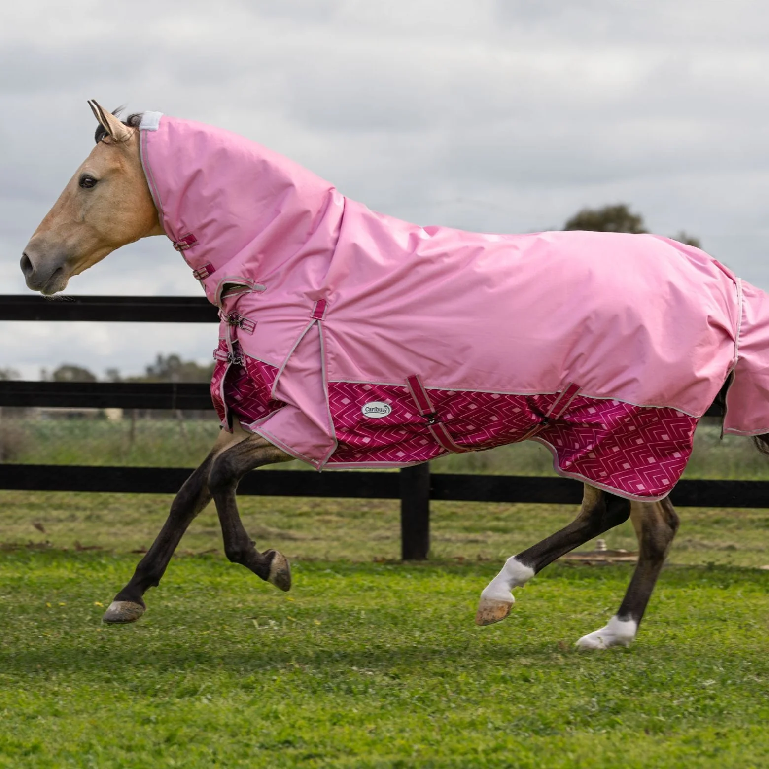 Caribu Alpine Combo Horse Rug 200g Rose Bloom - Image 61