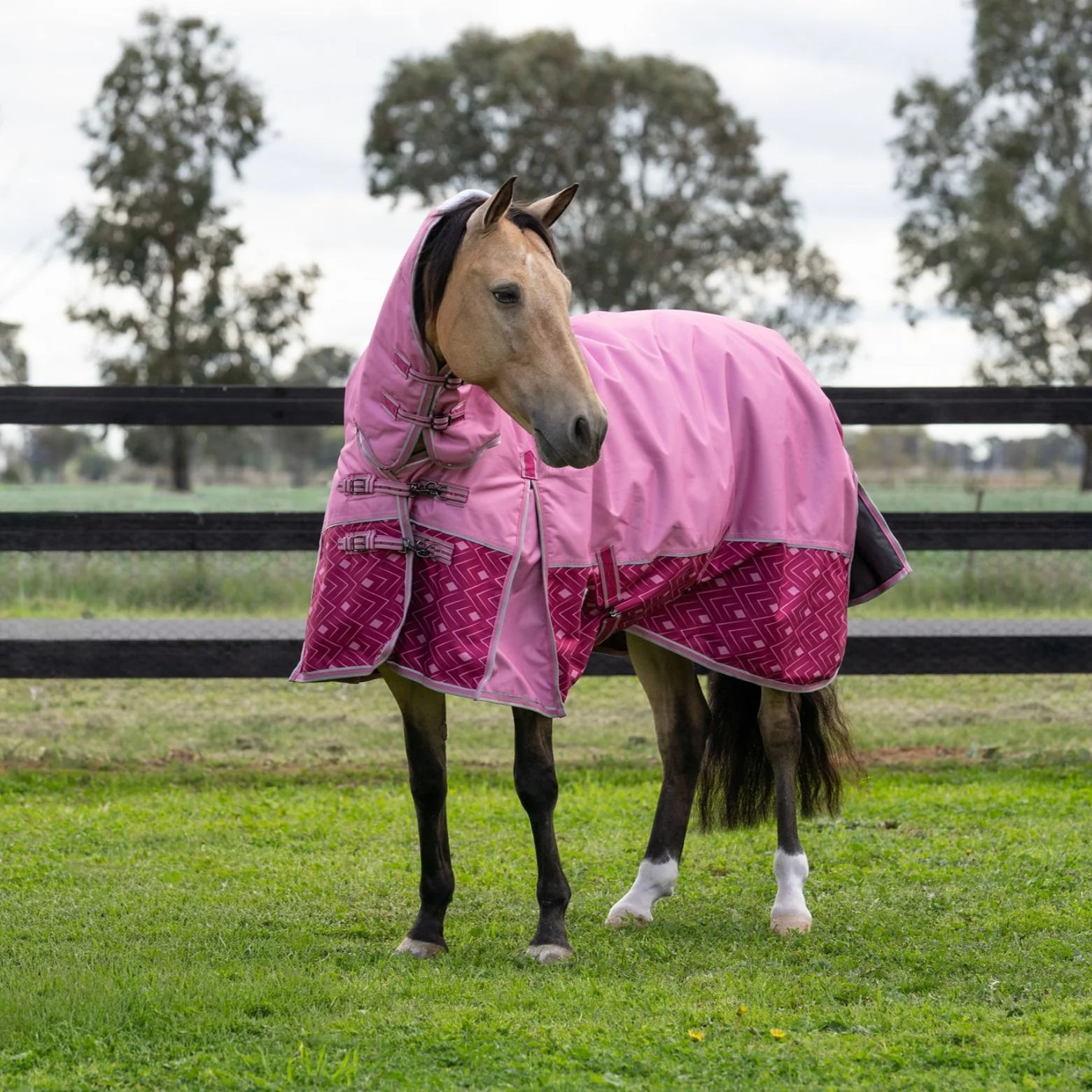 Caribu Alpine Combo Horse Rug 200g Rose Bloom - Image 74