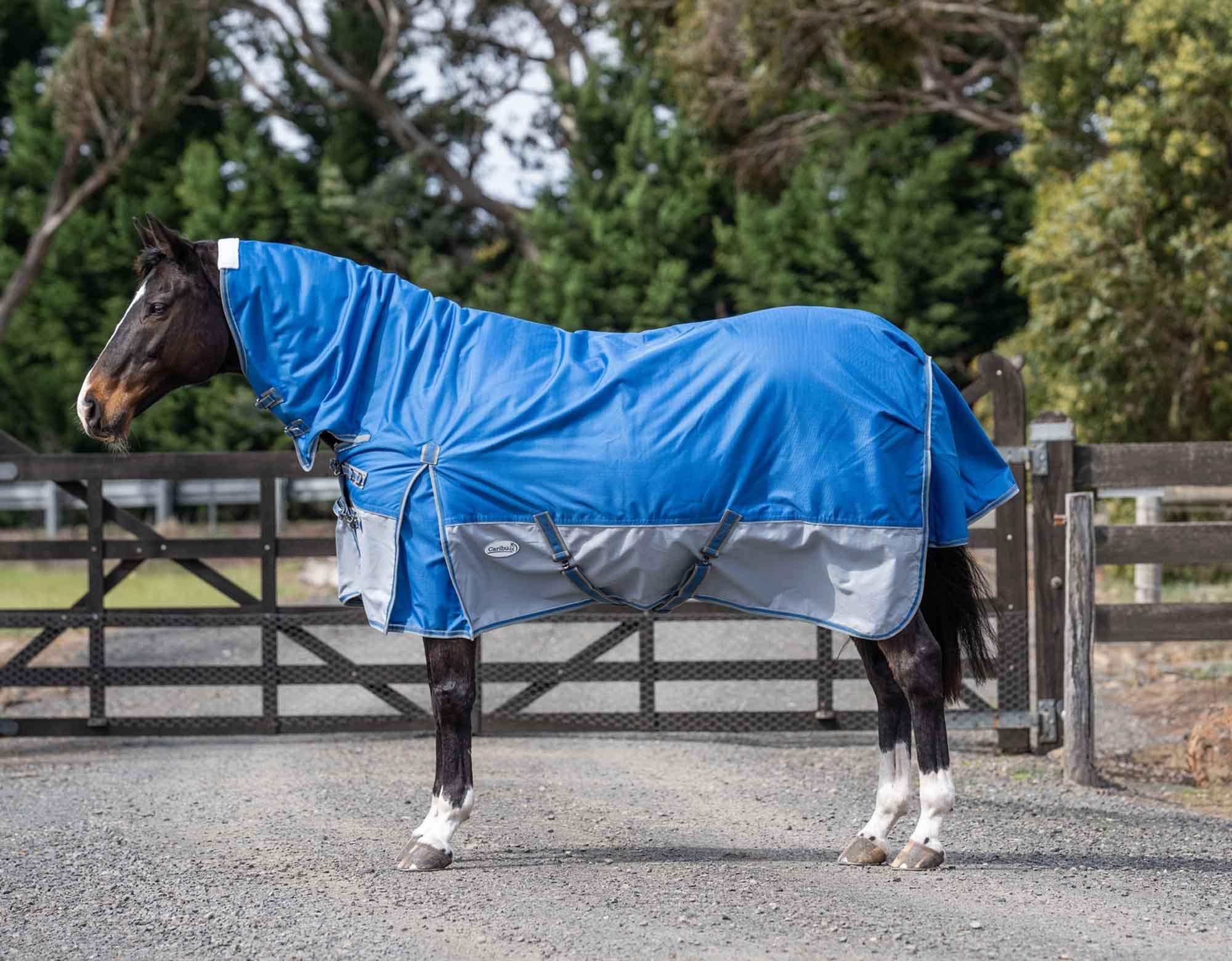 Caribu Alpine Combo Horse Rug 200g Sky Blue - Image 2