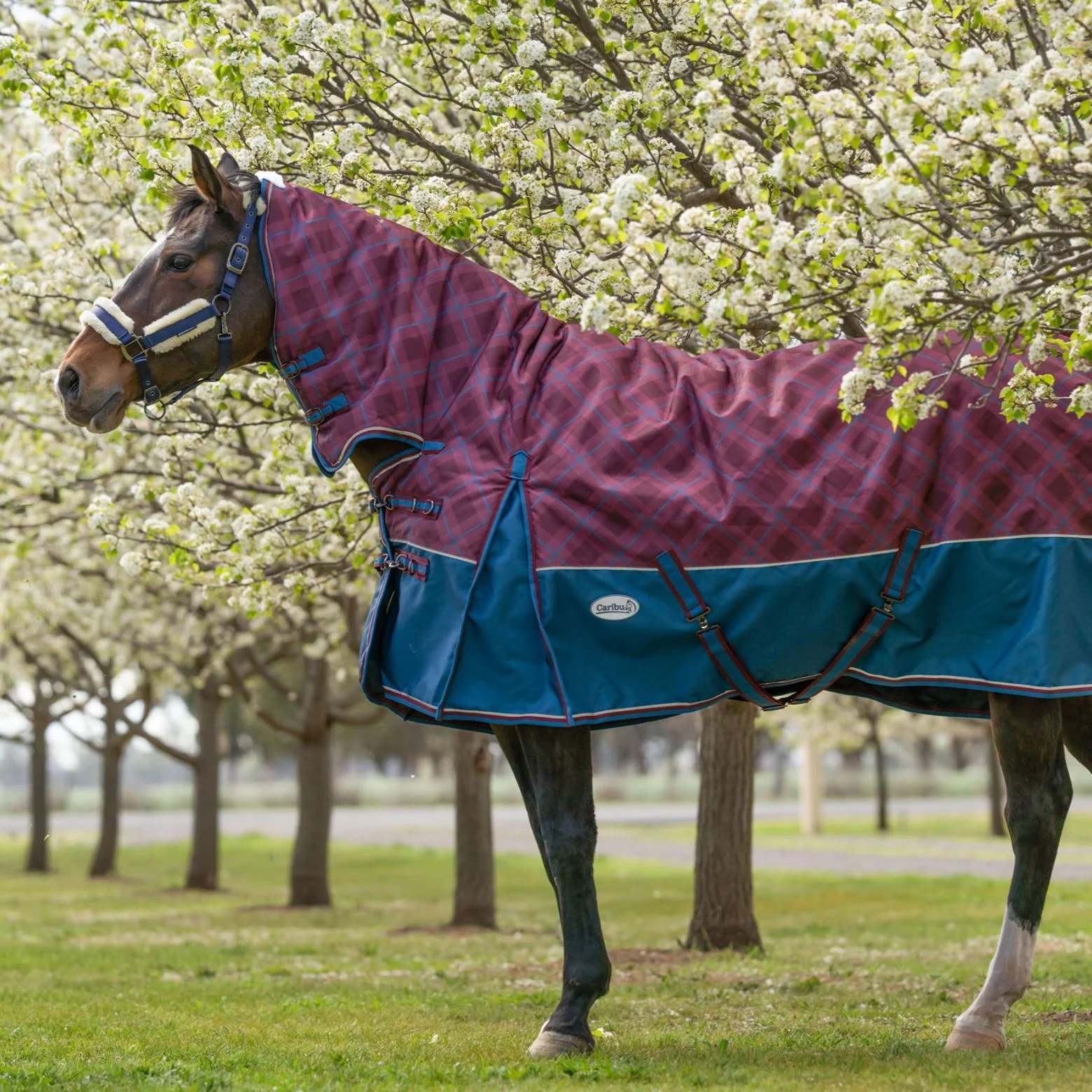 Caribu Alpine Combo Horse Rug 300g Merlot Tartan - Image 12