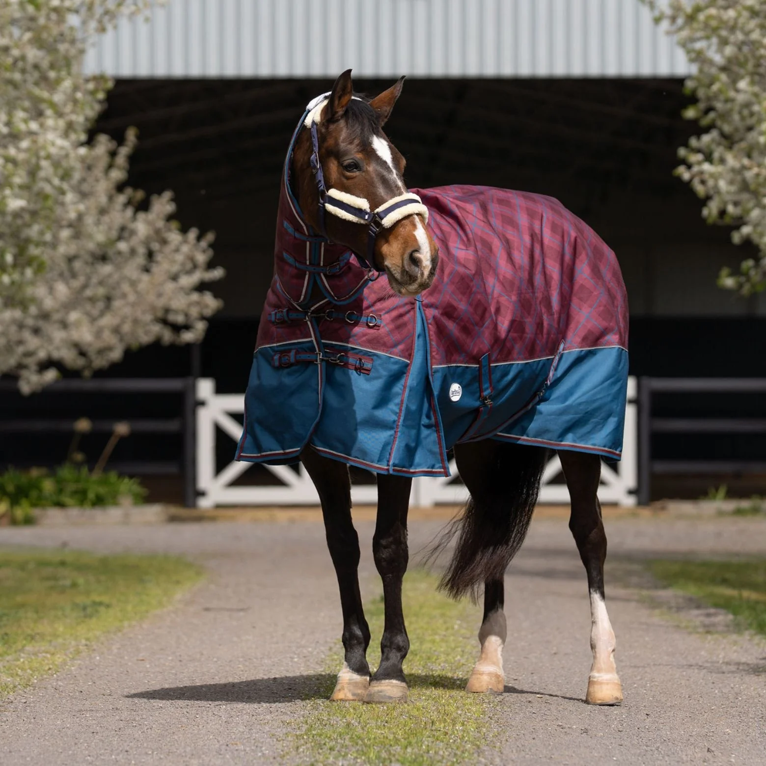 Caribu Alpine Combo Horse Rug 300g Merlot Tartan - Image 23