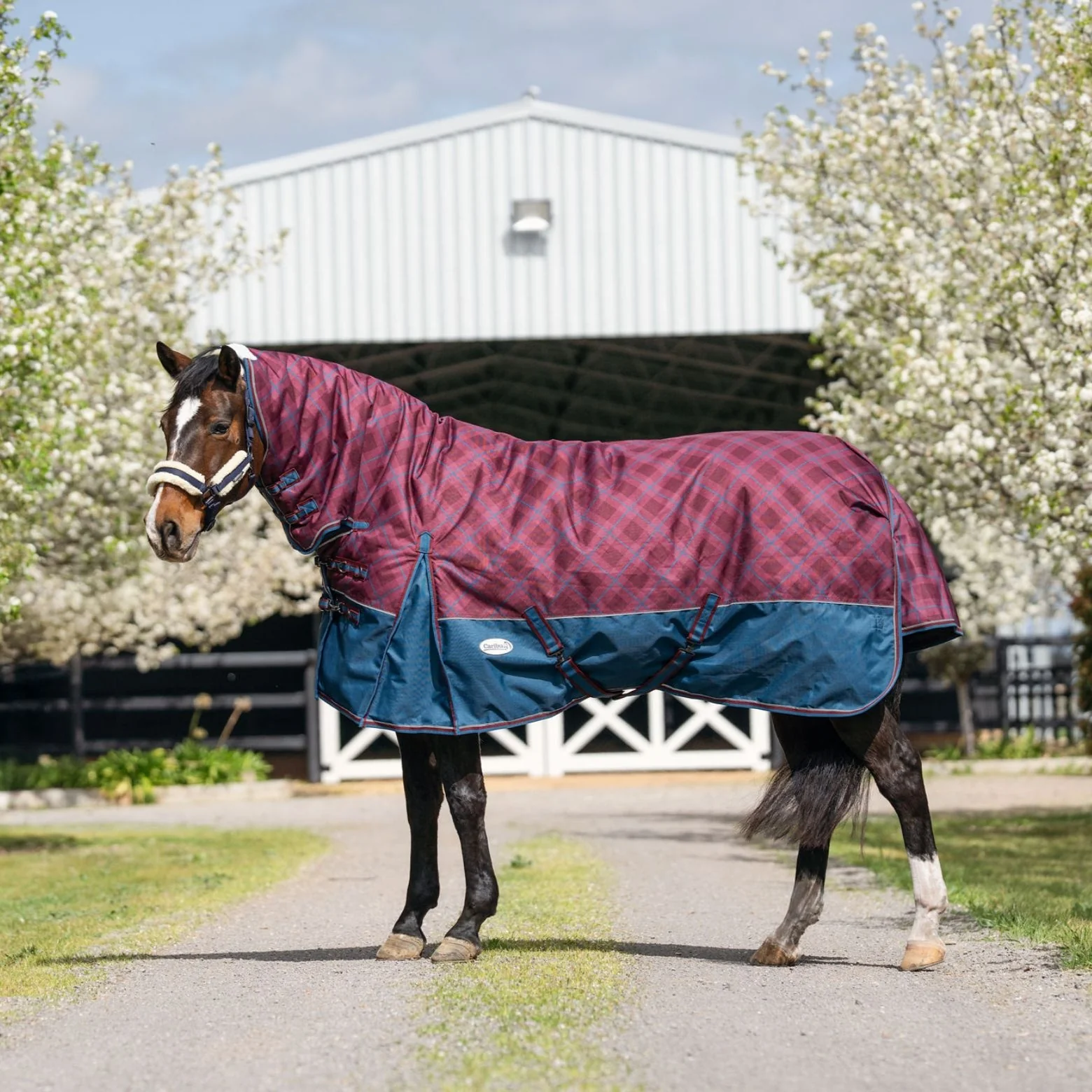 Caribu Alpine Combo Horse Rug 300g Merlot Tartan - Image 6