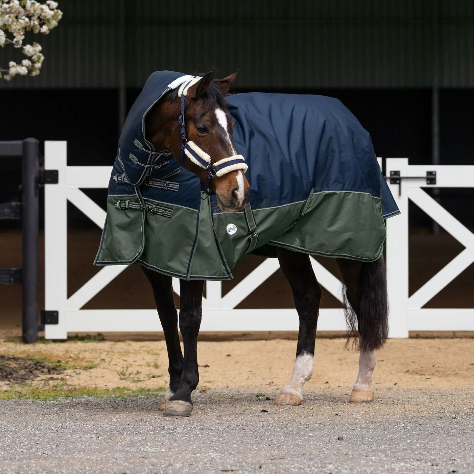 Caribu Alpine Combo Horse Rug 300g Navy/Green - Image 30