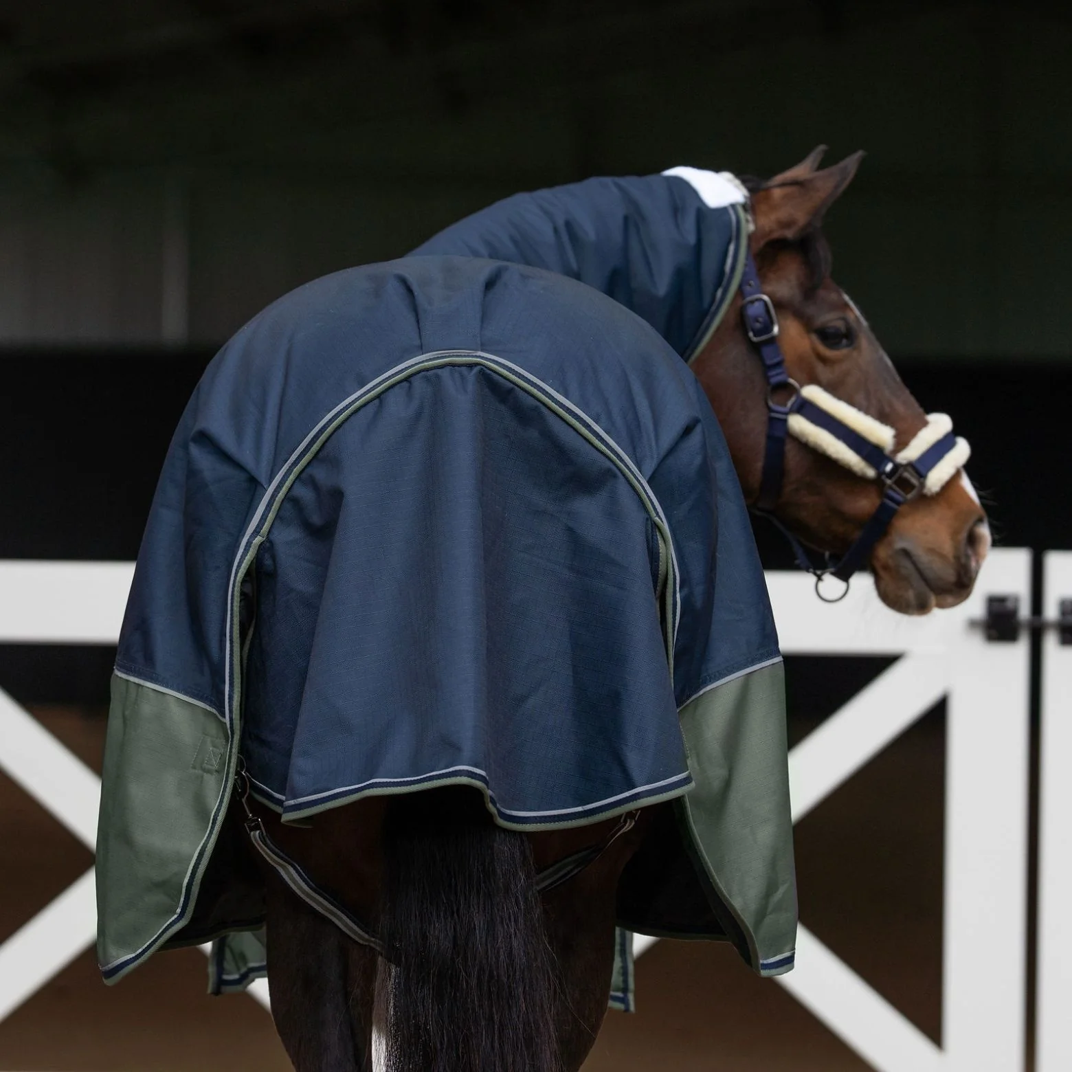 Caribu Alpine Combo Horse Rug 300g Navy/Green - Image 38